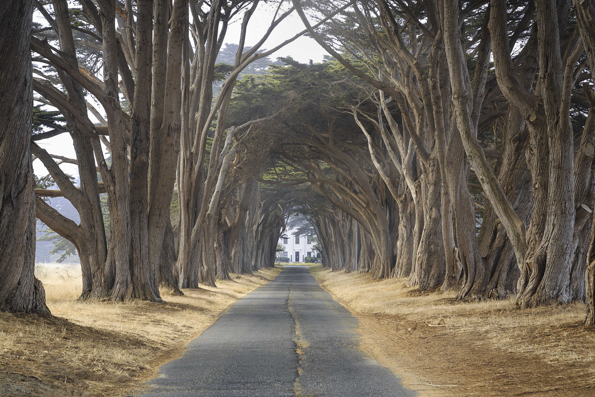 Point Reyes National Park, San Francisco - California