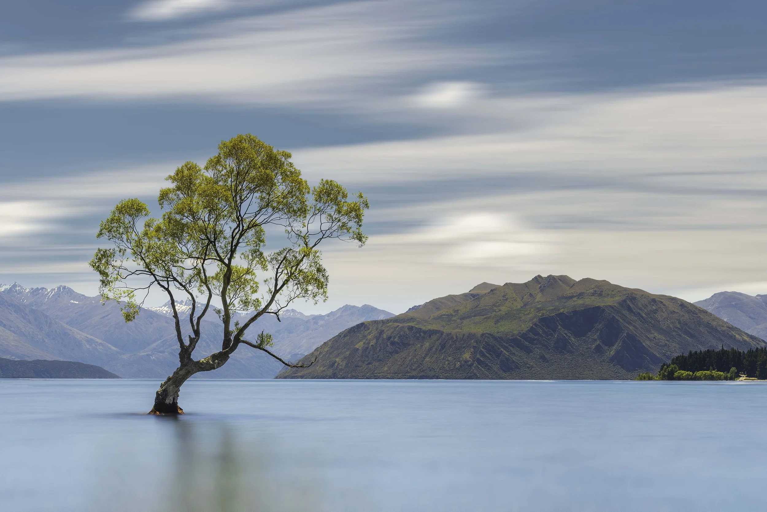 Wanaka, South Island - New Zealand