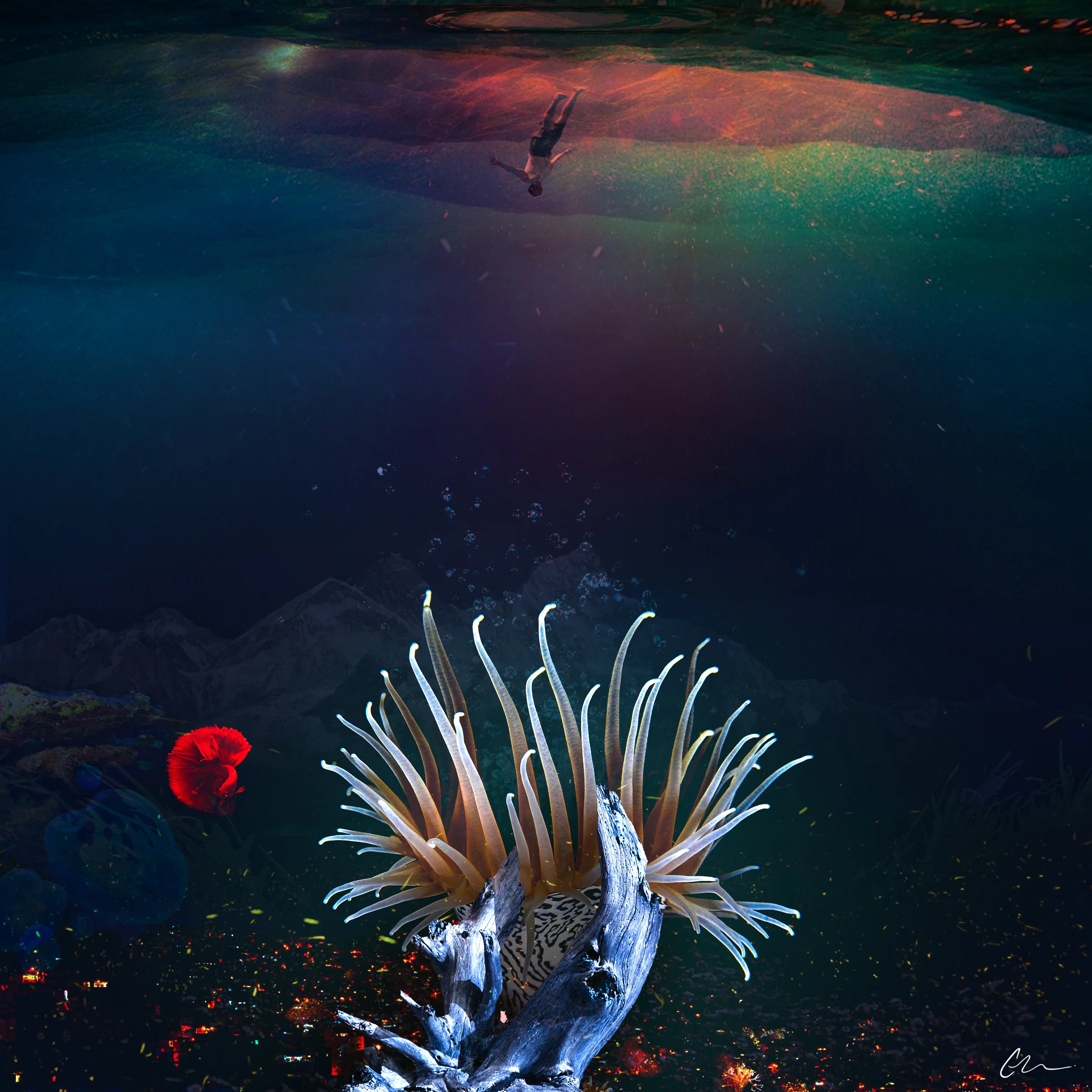Anemone_Final (1).jpg