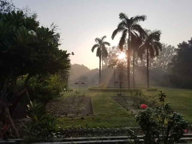 20171119_071113.JPG