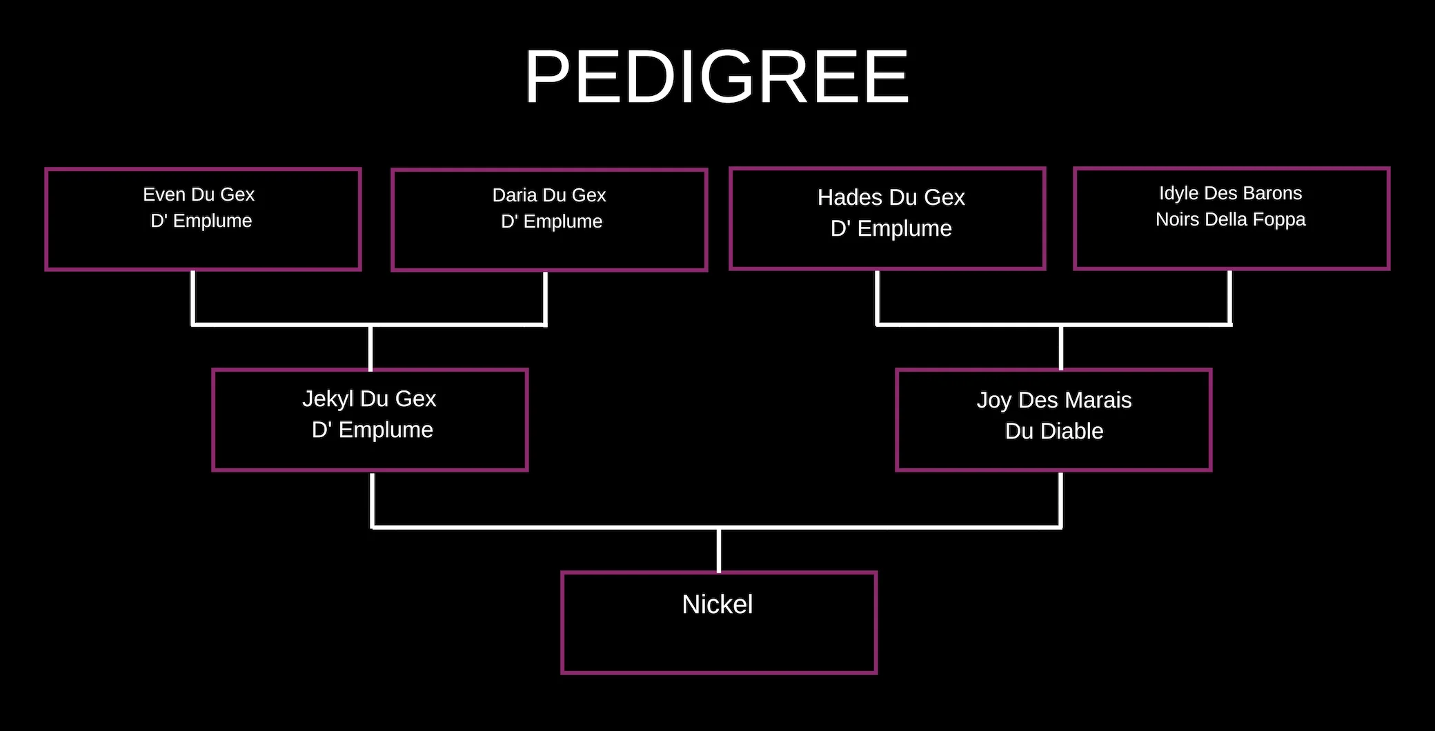 PEDIGREE websitenickel.jpg