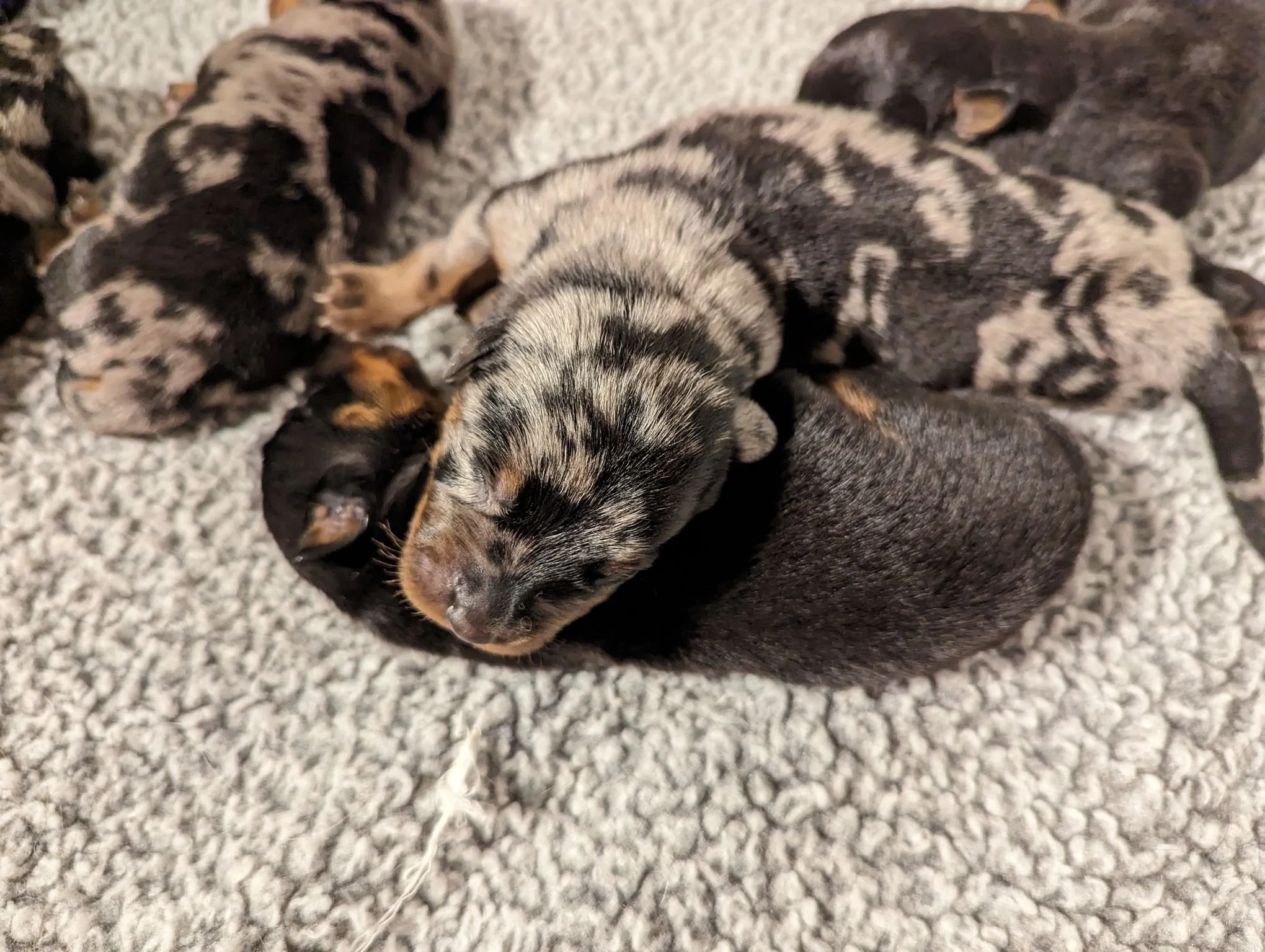 Cooper and Prae - Reserved