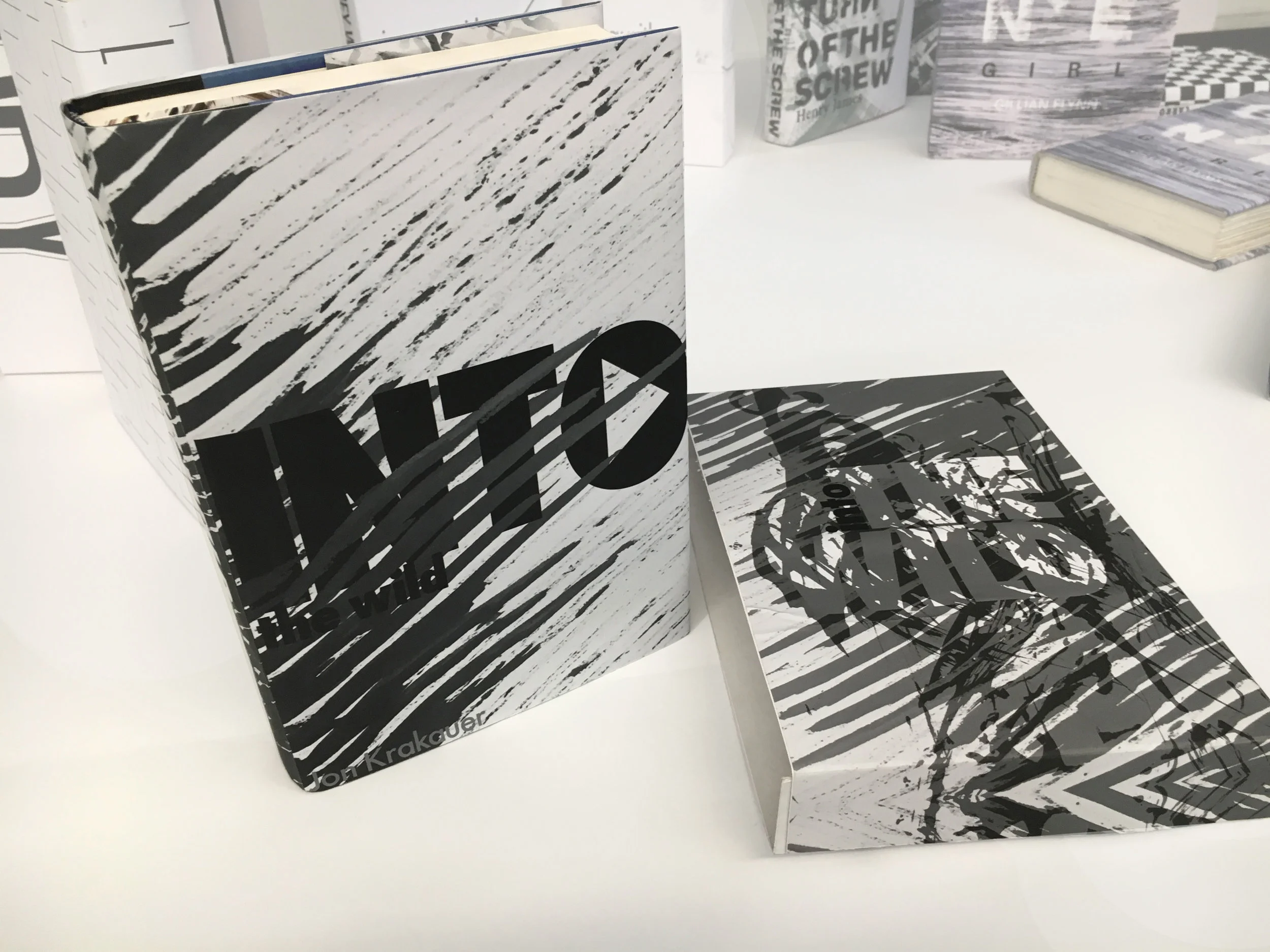 Into the Wild Cover and Slip