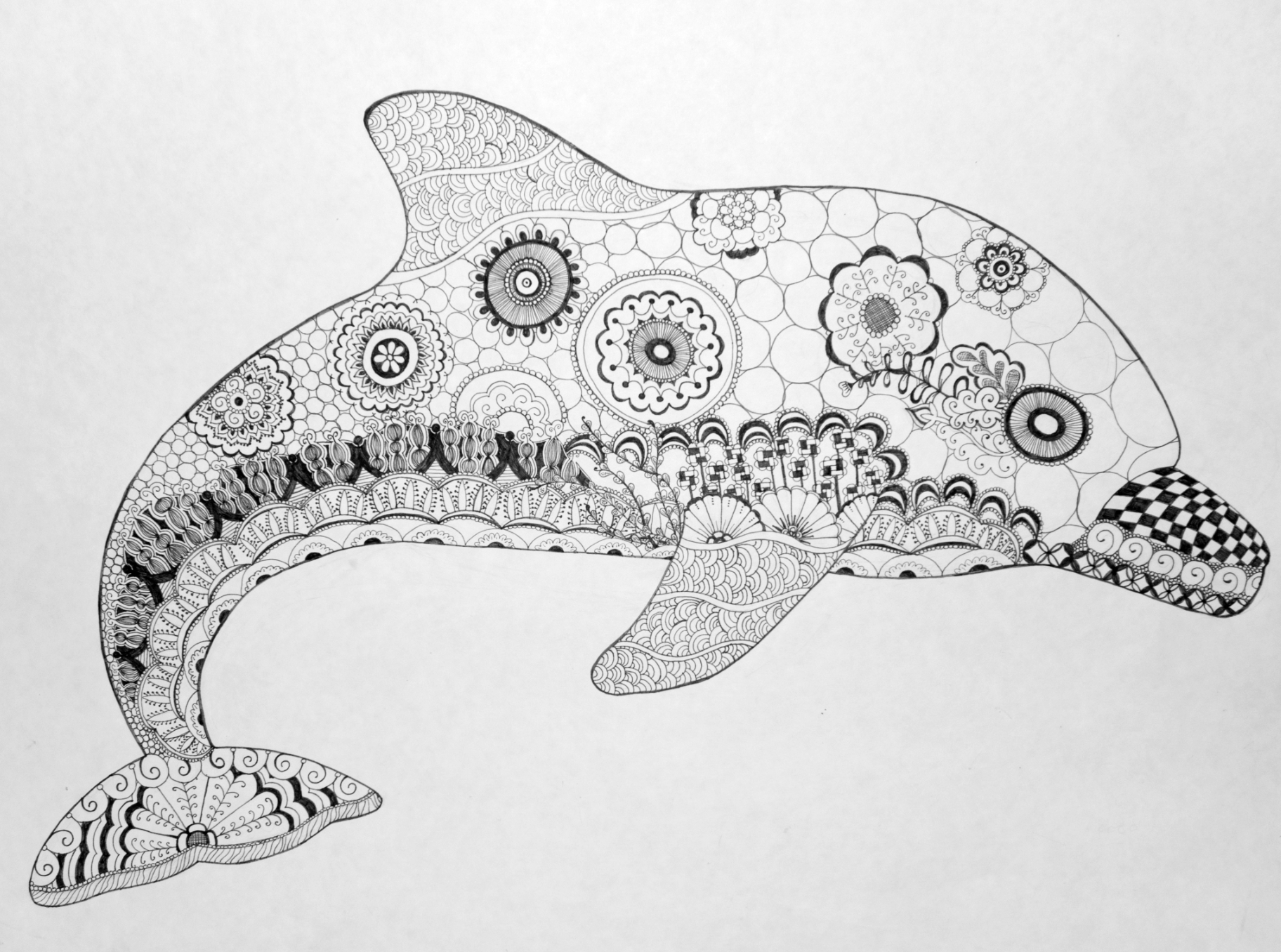 Dolphin Design 