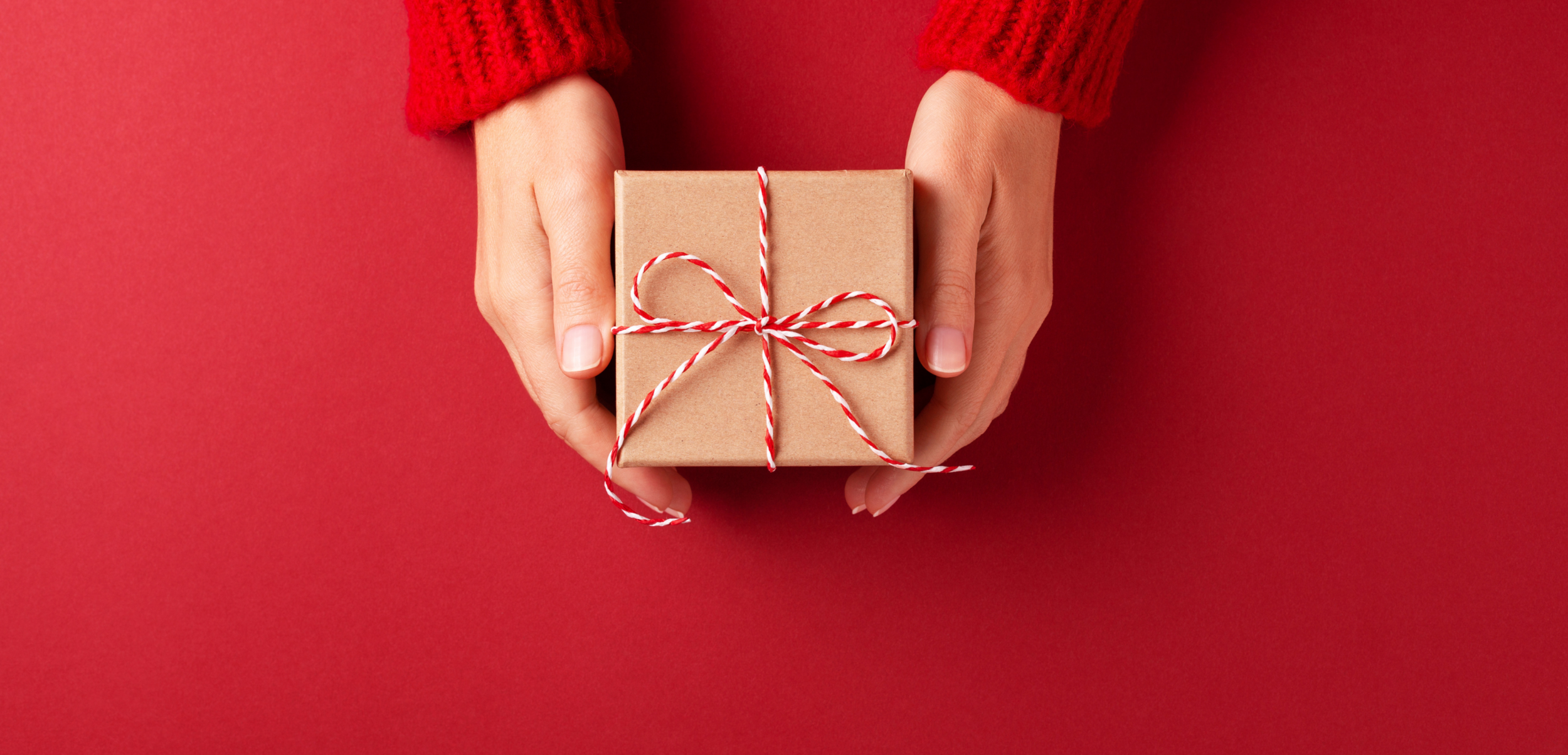 MEANINGFUL GIVING GUIDE