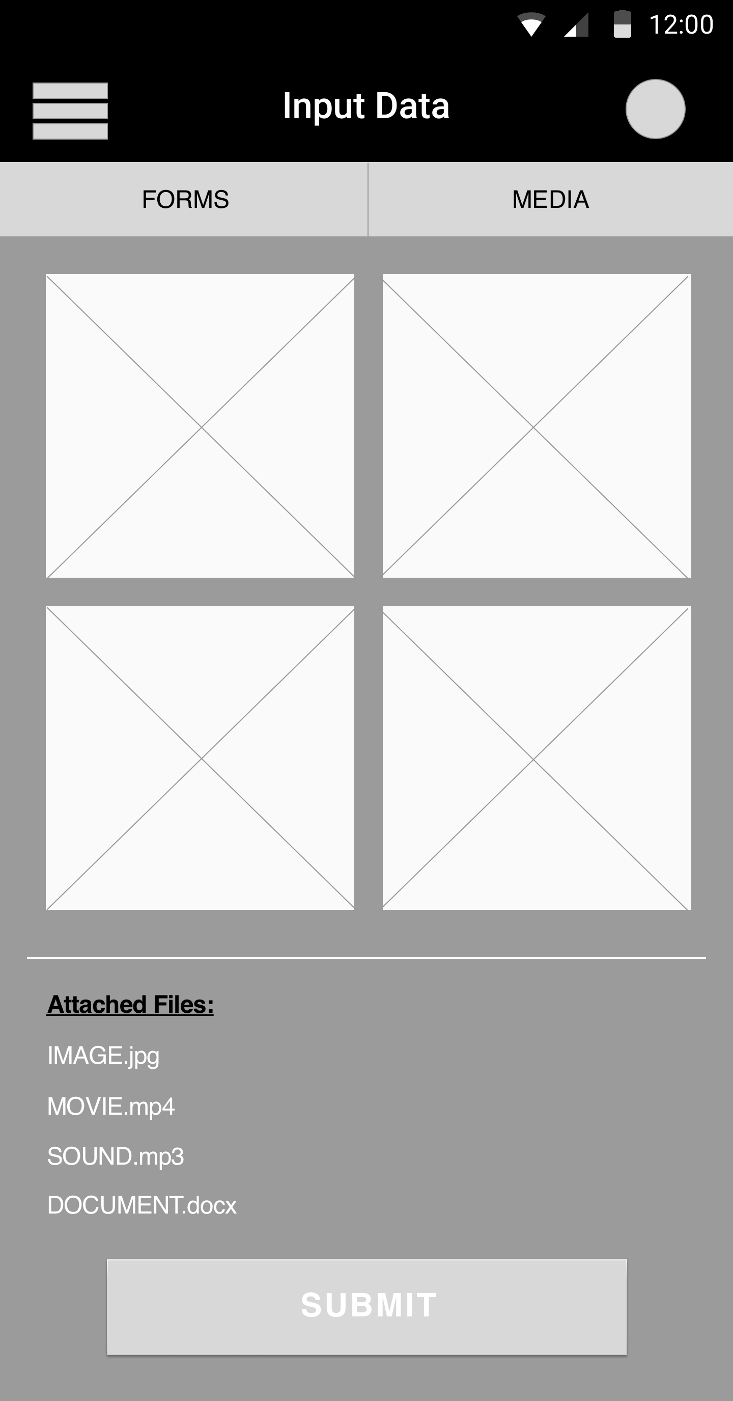 ‘Input Data’ Screen