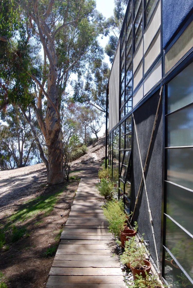 Looking Down the Row