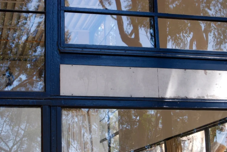 Tree line Photograph Panel&nbsp;