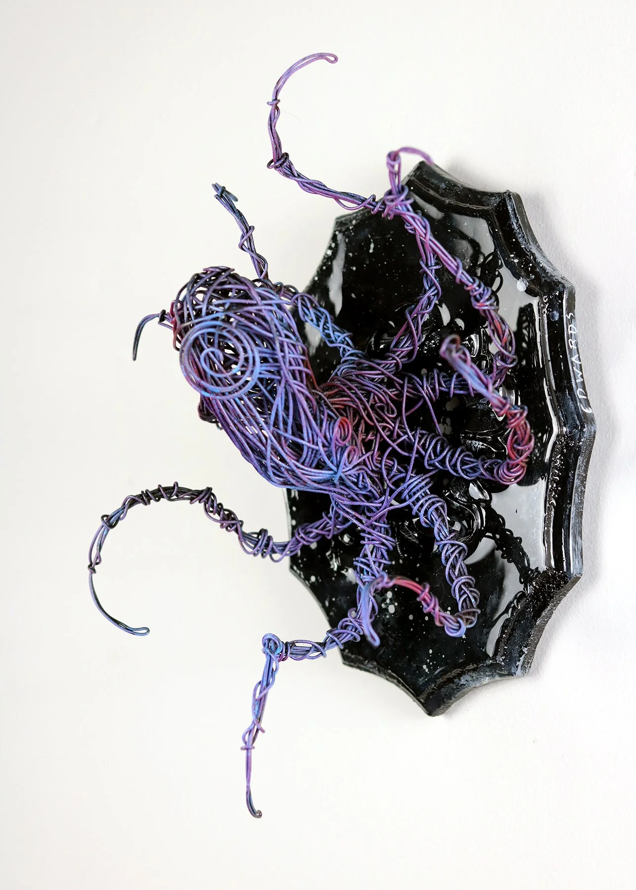 PARVA POLYPUS XXXI