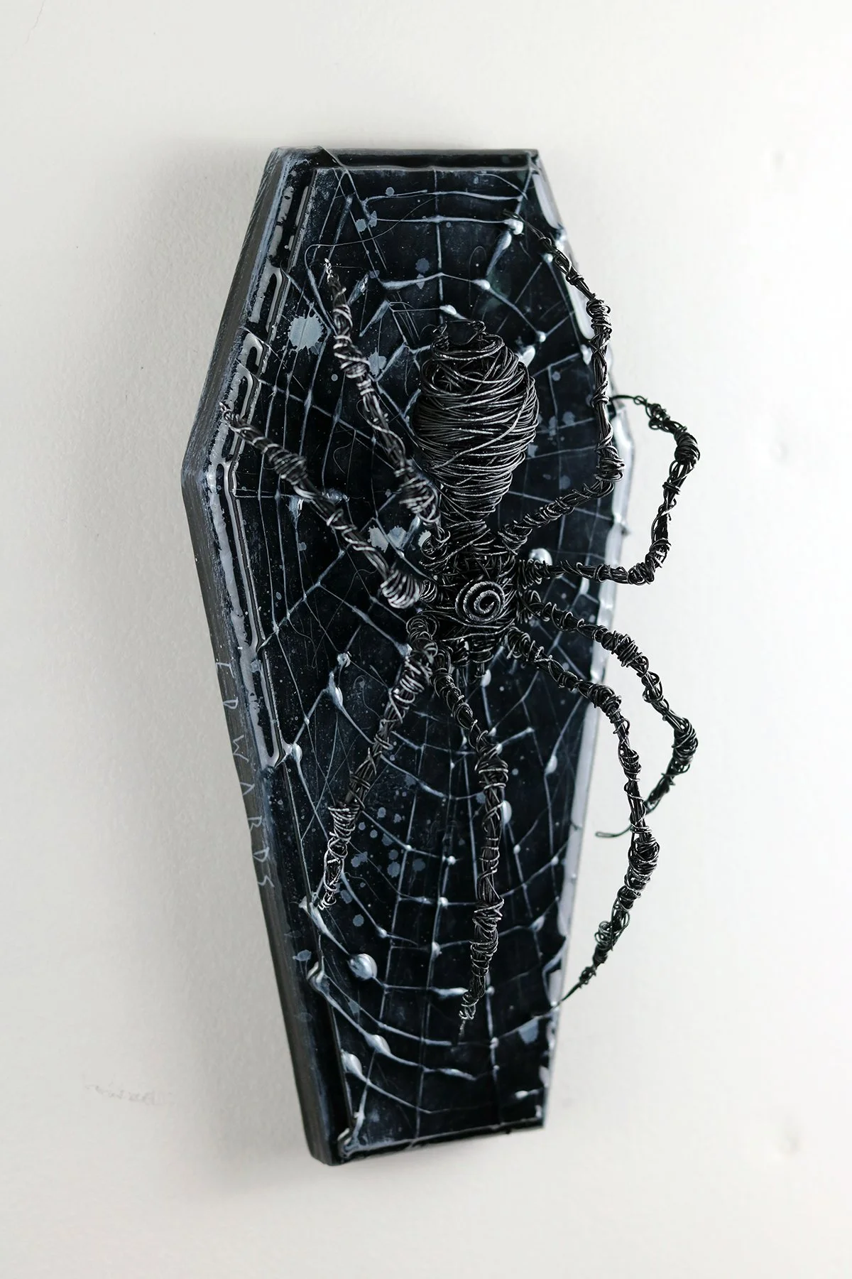 ARANEA OSSA XXV