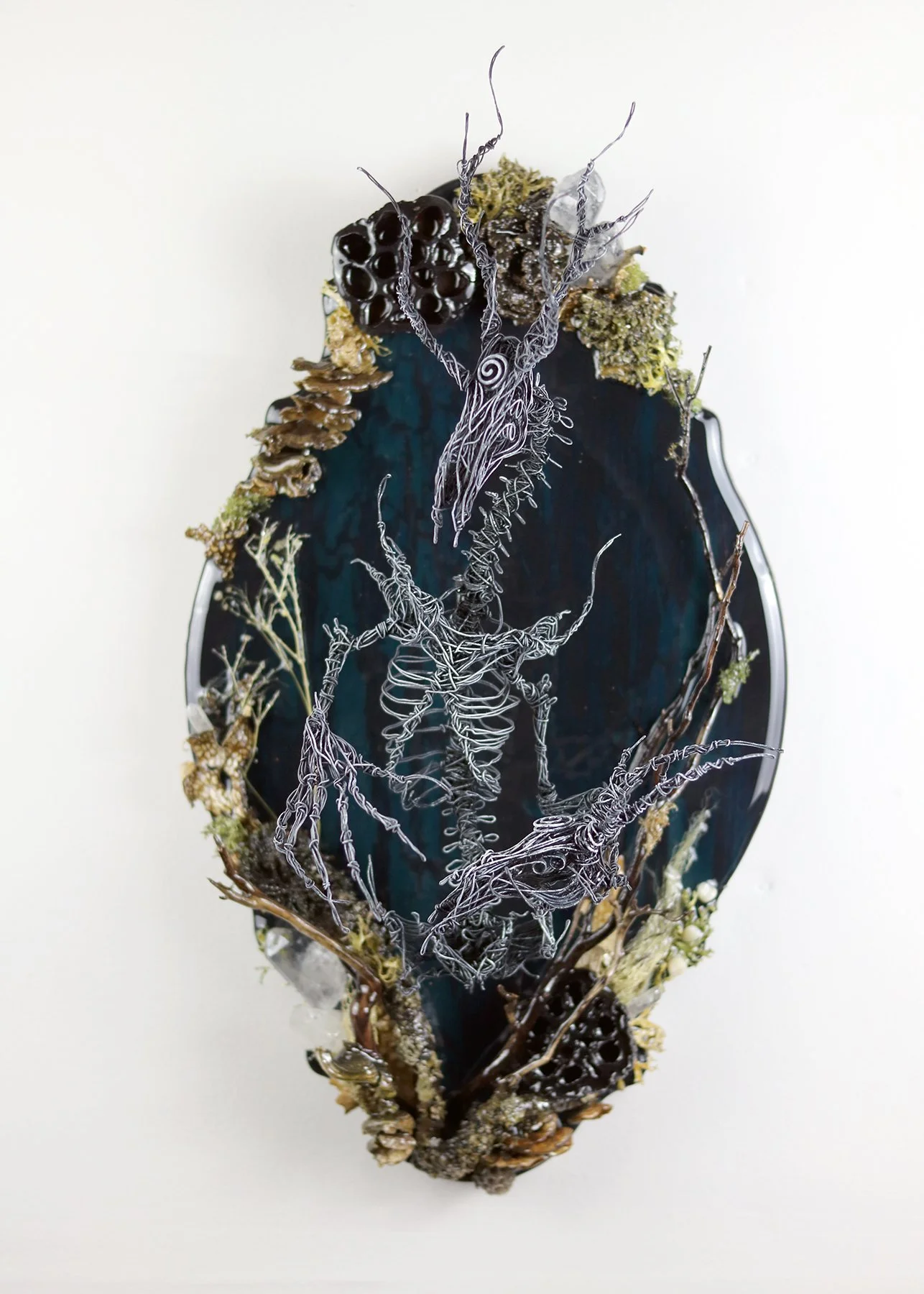 EDWARDS CRYPTODERMIA SILVA MORTEM II IMG_8714.jpg