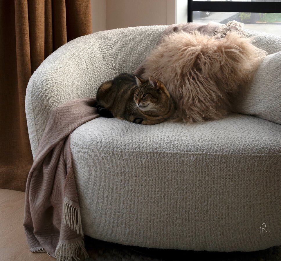 A new installation is almost finalised for a young professional couple who recently moved in their new home 🏡 Toffee the cat is very happy too 😻 Photo &copy;️ Twin Rivers Design by Nanda Rammers 📸❤️ #interior #interiors #interiorstyling #interiors