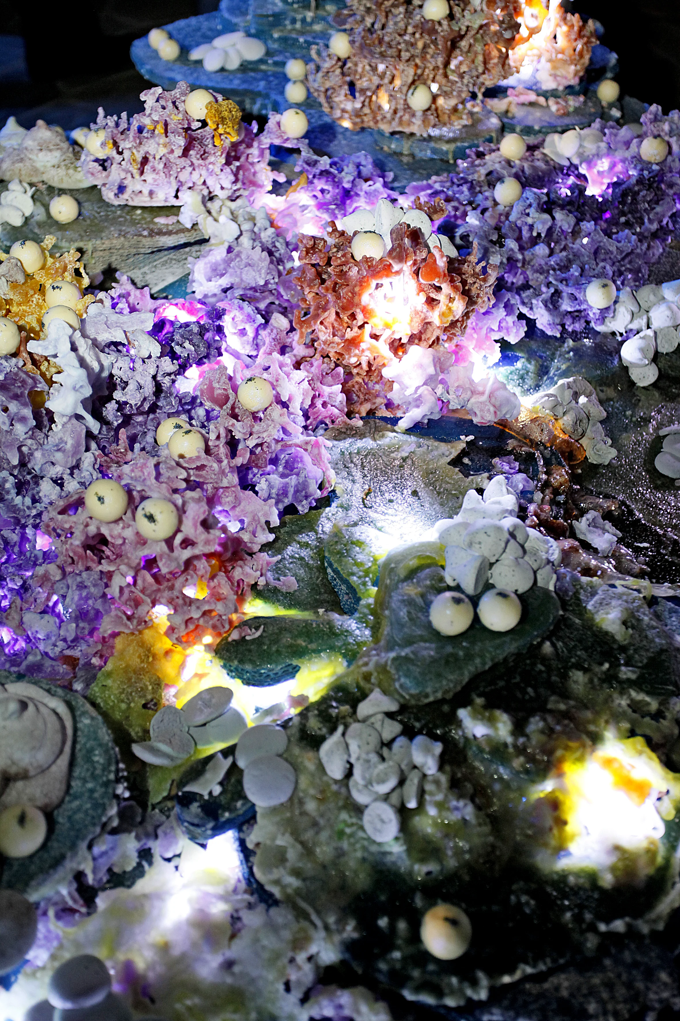 Sugar corals with canapes2.jpg
