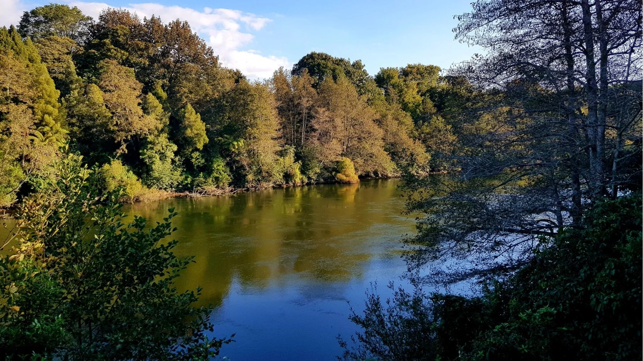 Waikato+River+N+Chetty+2022.jpg