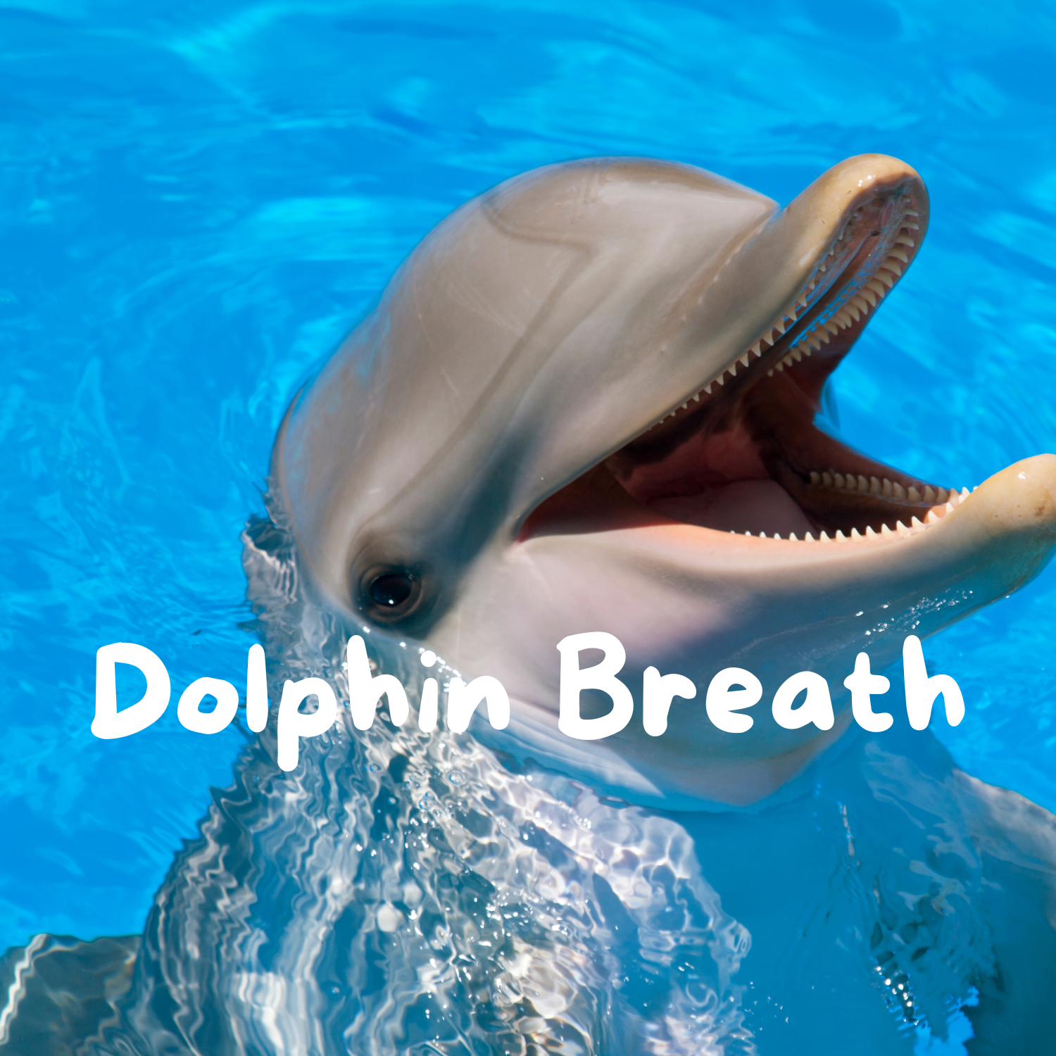 Help Kids Reset Before Testing with 5–10 Dolphin Breaths