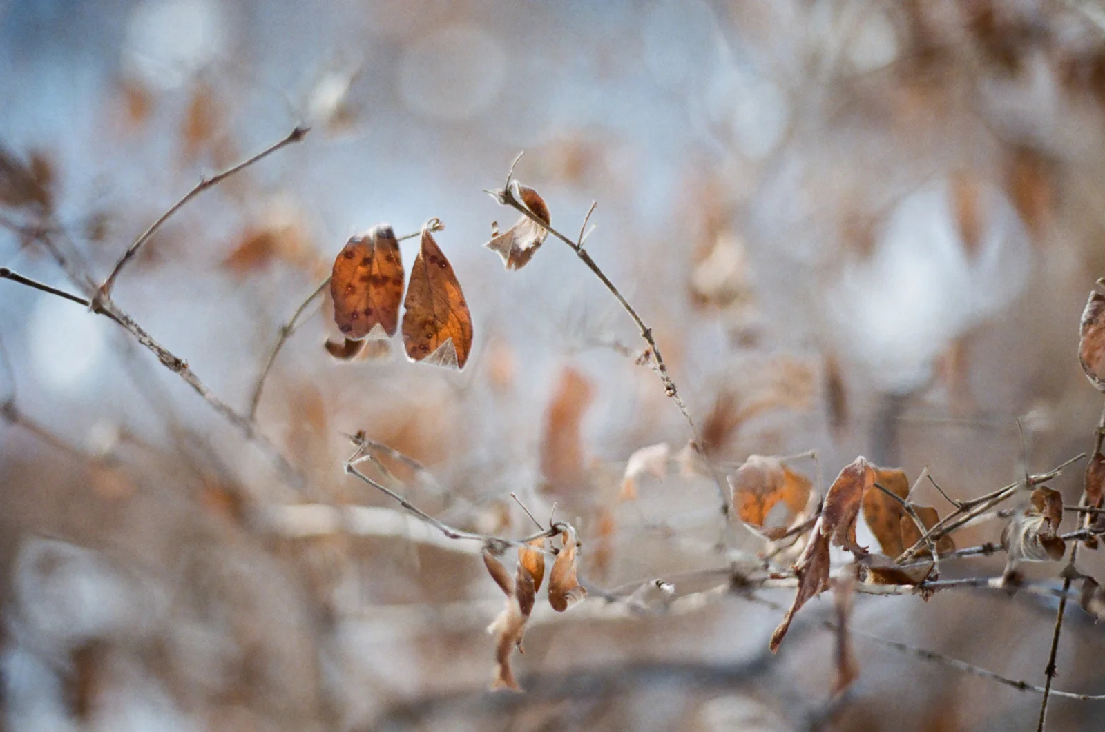 7a88771545f0fab1-35600003-edit.jpg