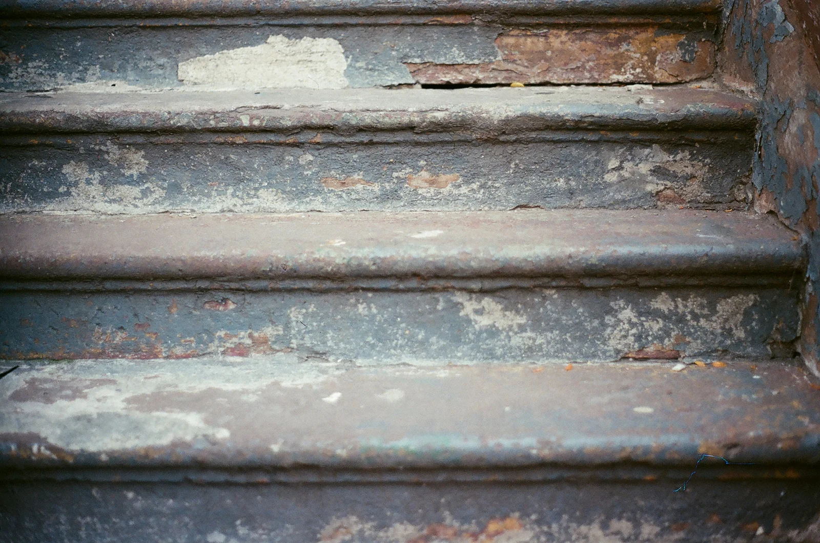 a2e4af85c84fe40f-73470012.jpg