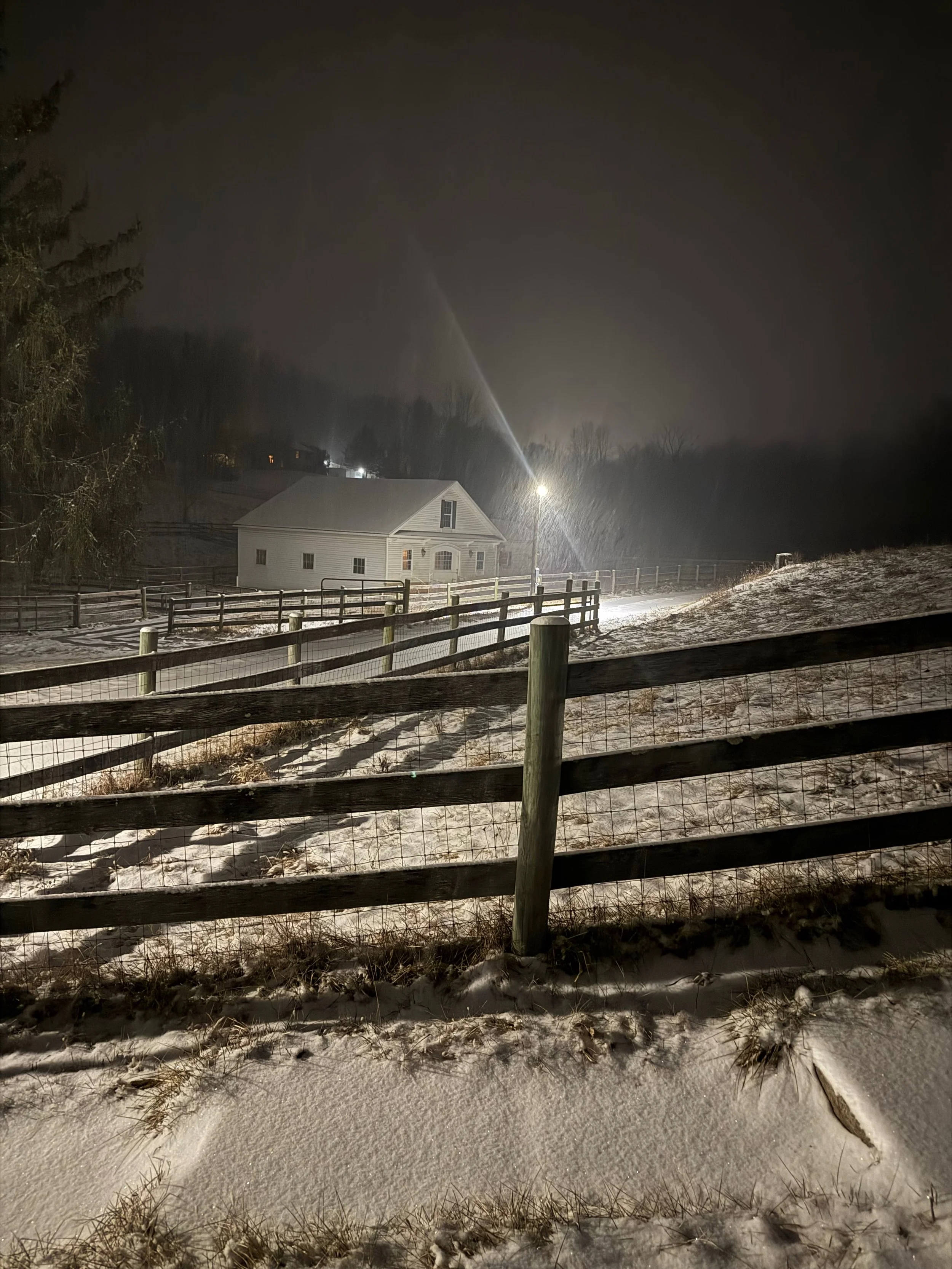 snow scene at Withers Wool and Farm
