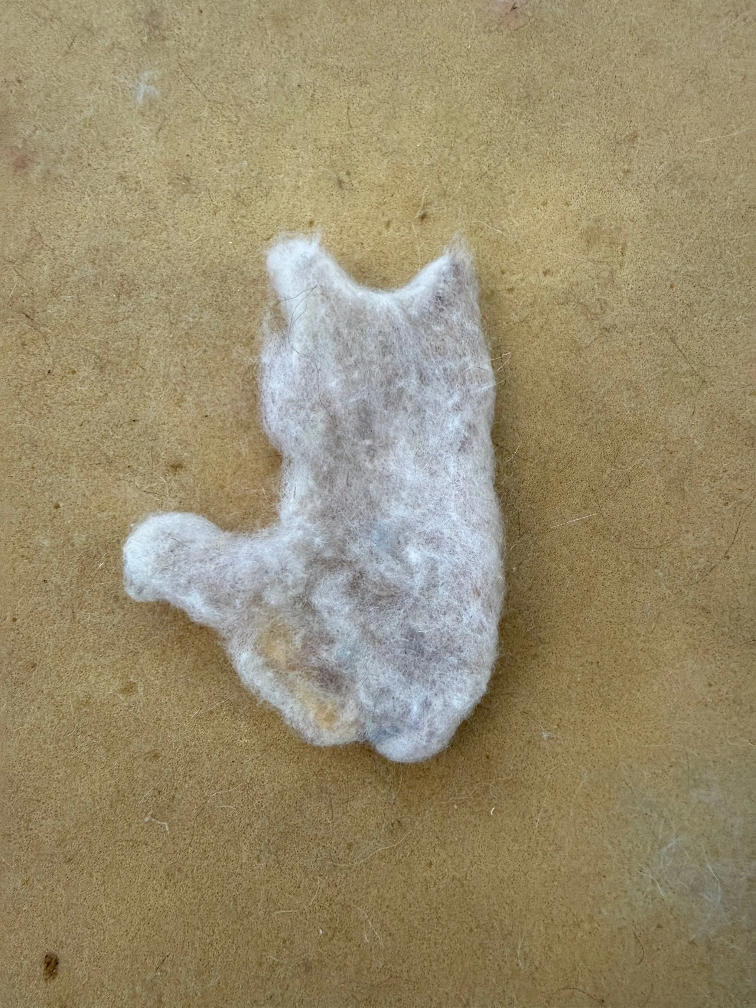 fuzzy backside of felted cat