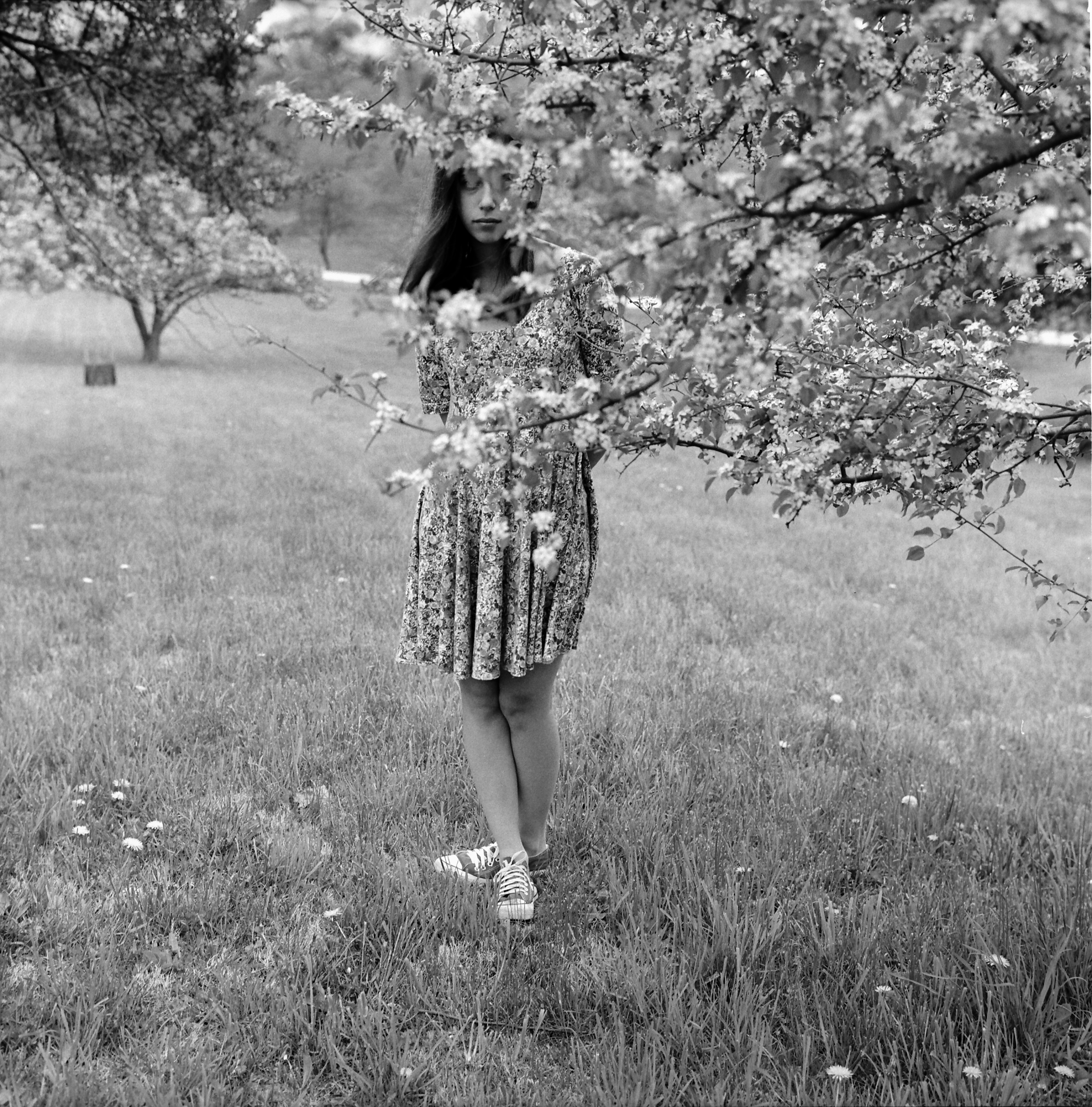 Aubrey with Cherry Blossoms