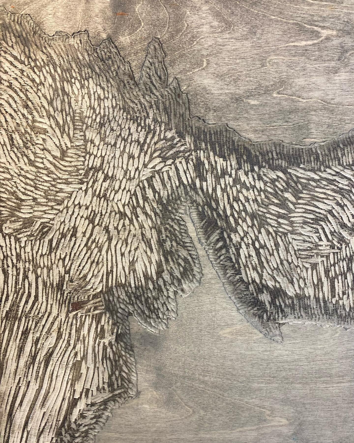 Exploring how the gouge marks can be a method of representing glacial motion or the way moraine looks like a river frozen in time. 

#workinprogress #woodcutprintmaking #woodcutprint #reliefprinting #reliefprintmaking #woodcut #moraine #glacialmotion