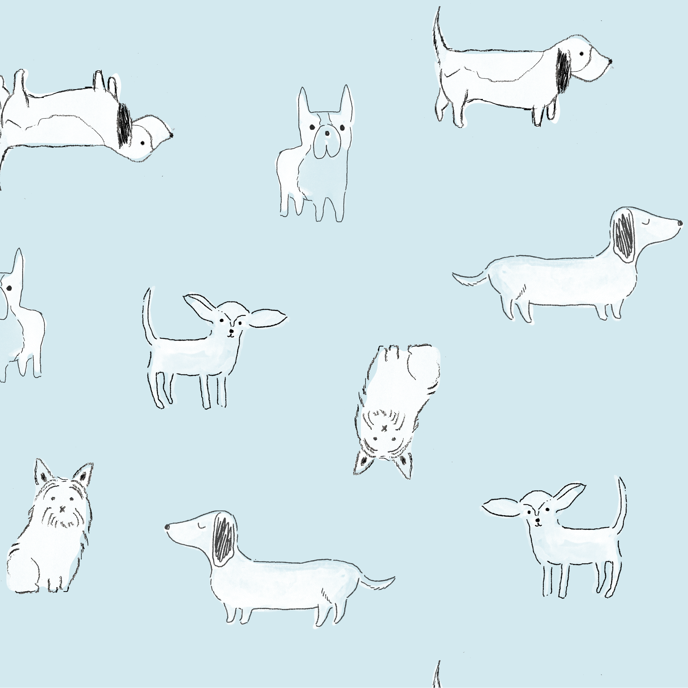 dogs-01.png
