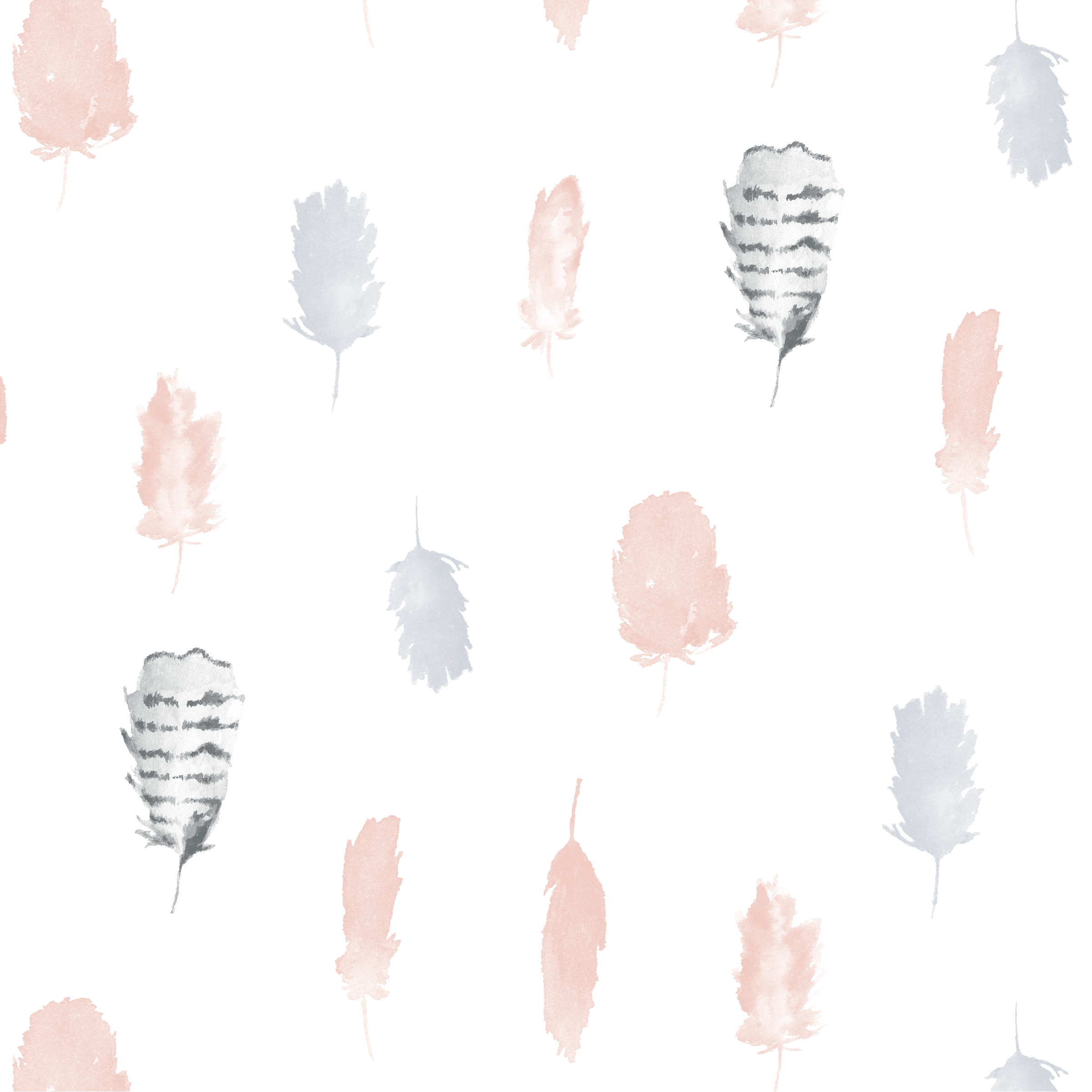 feathers-01.png