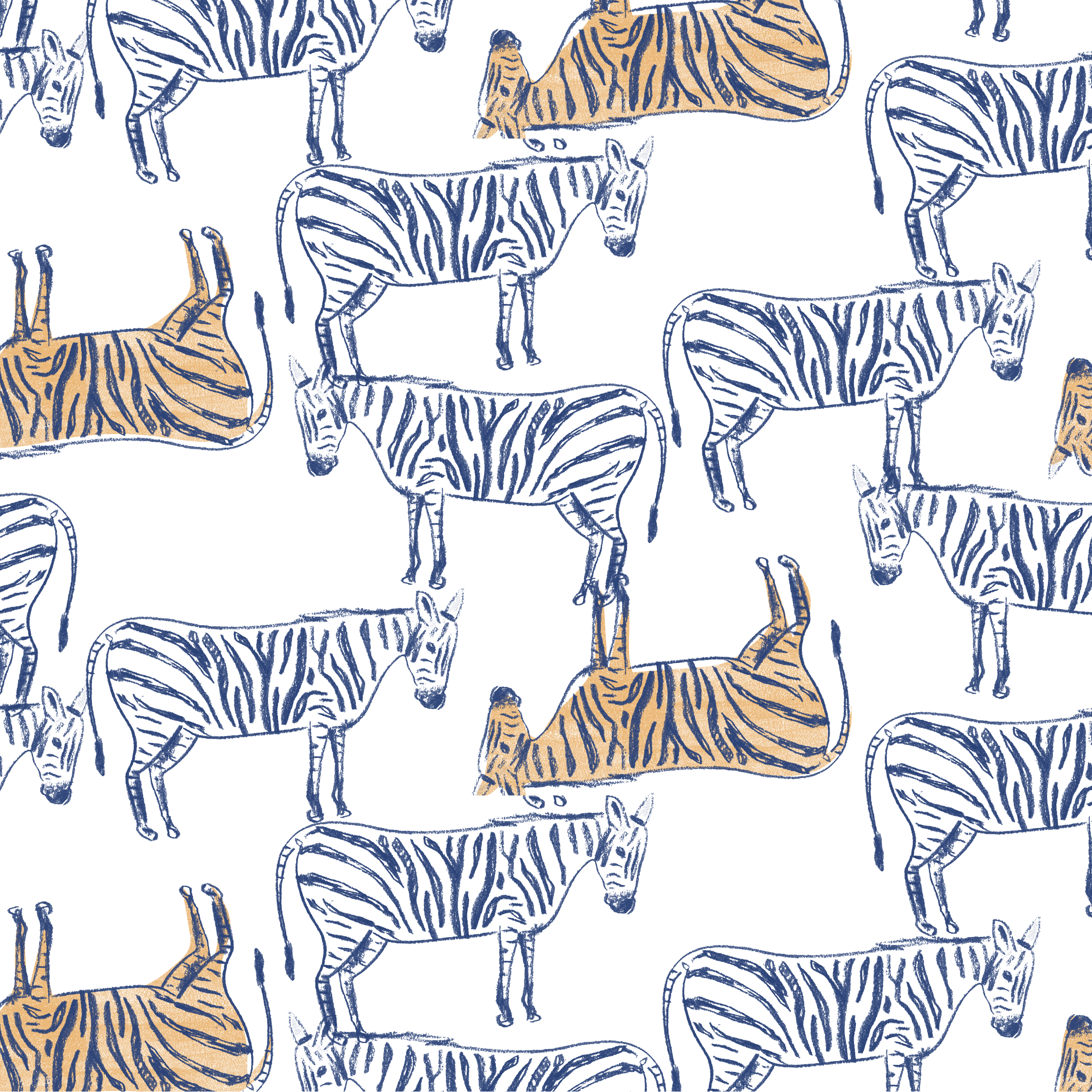 zebra-01.png