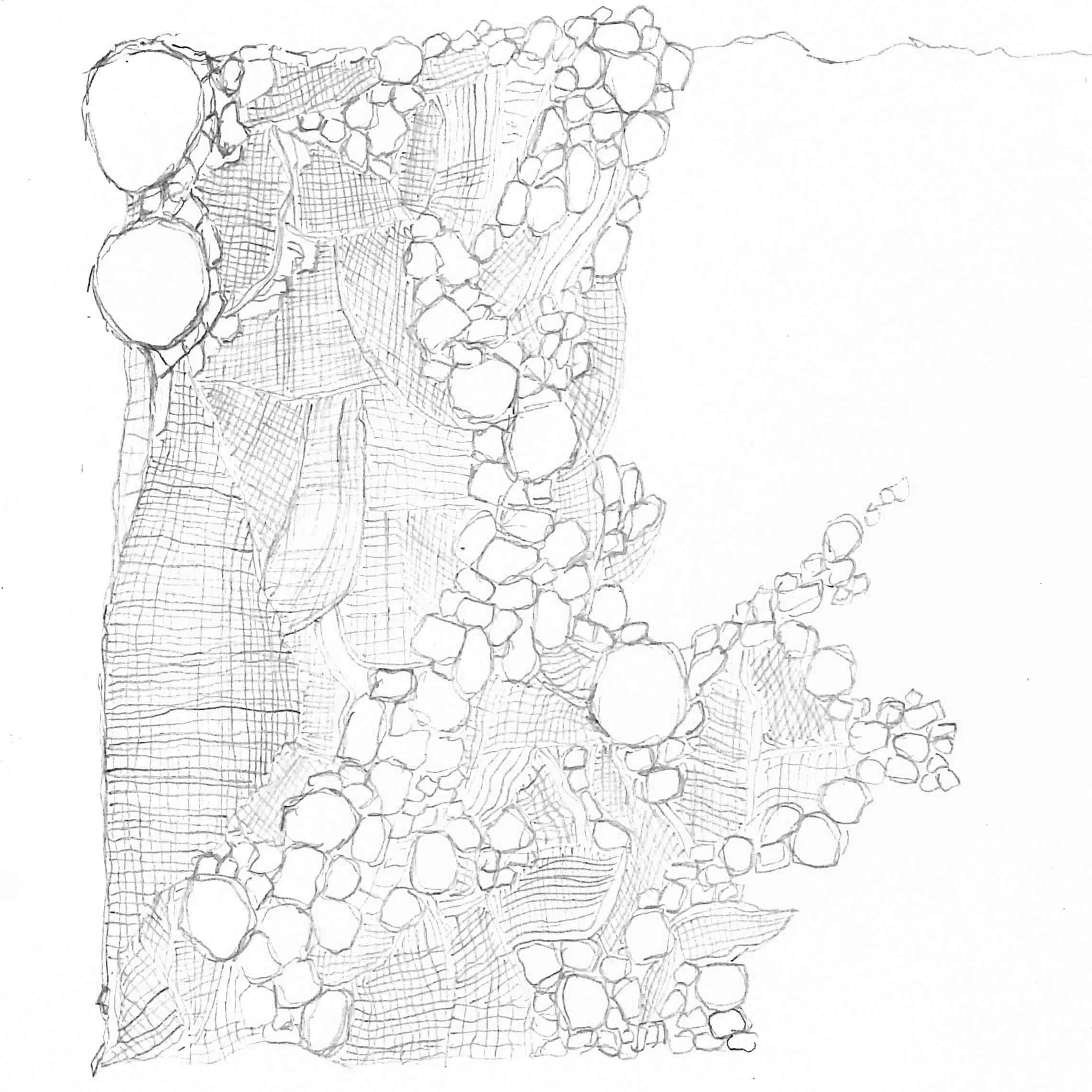 pencil-sketch.jpg