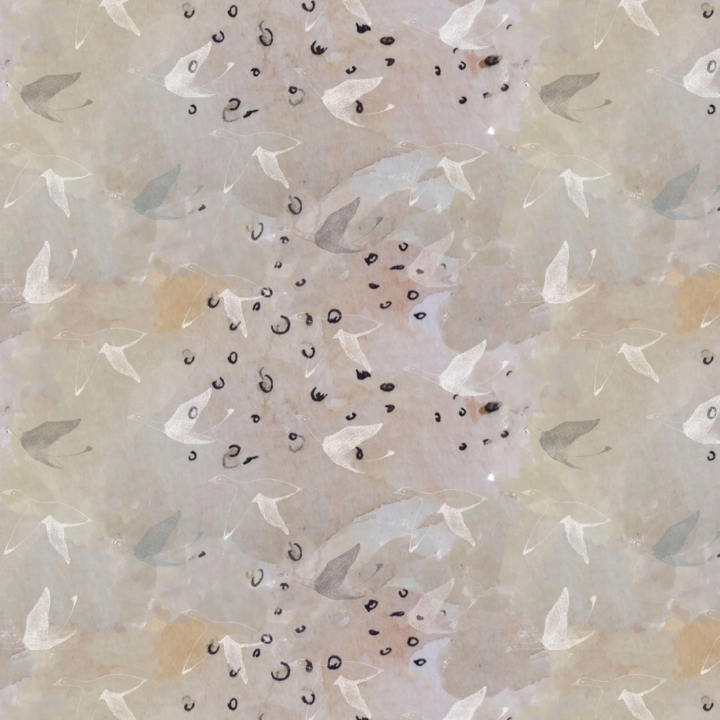 birds-new2.jpg