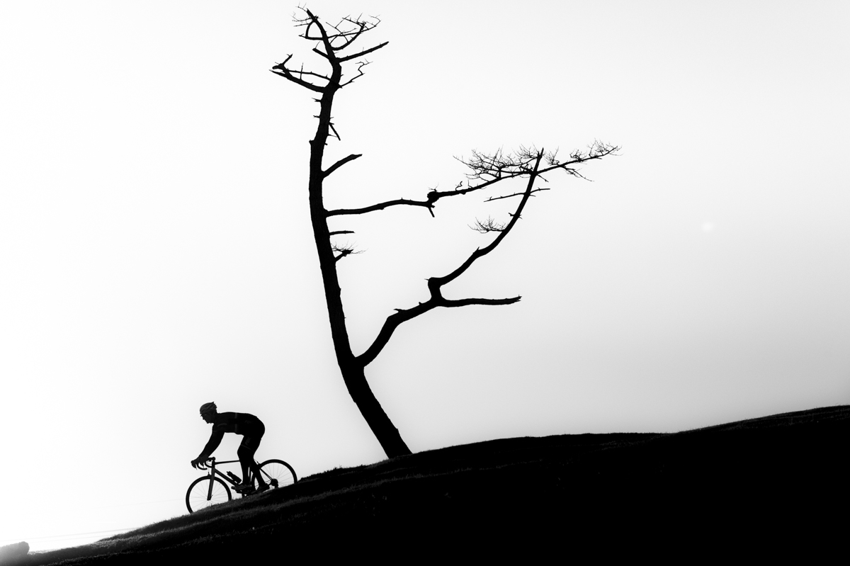 Image by Paolo Penni Martelli