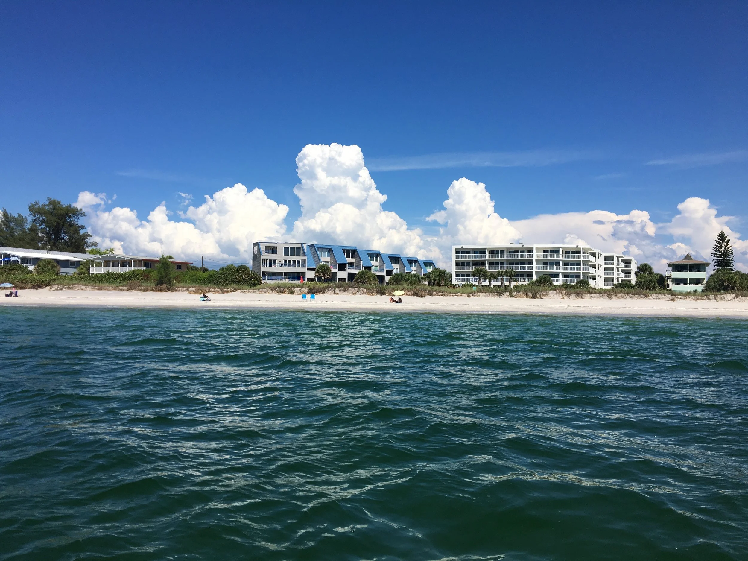 IMG_7762.jpg