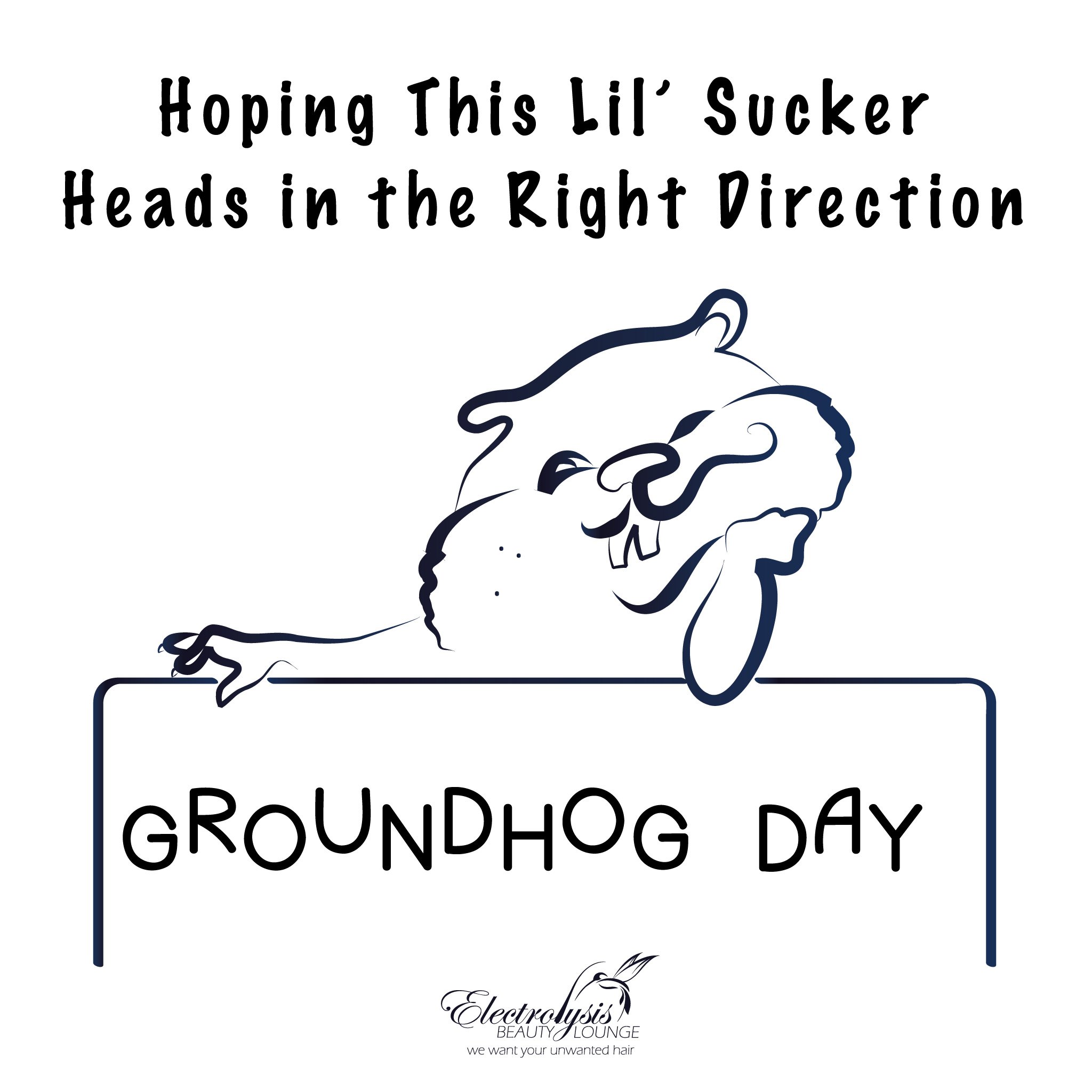 Groundhog-Day-2022.jpg