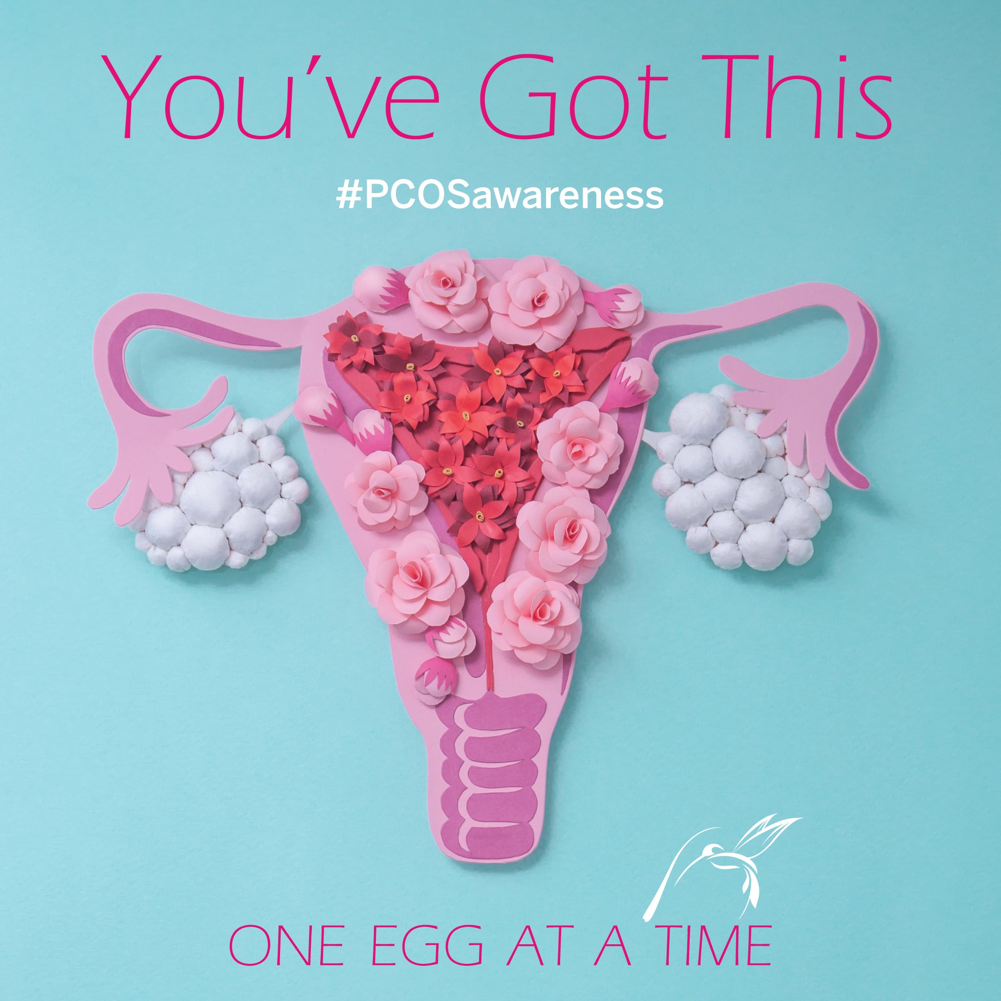 Instagram-PCOS-one-egg-at-a-time.jpg