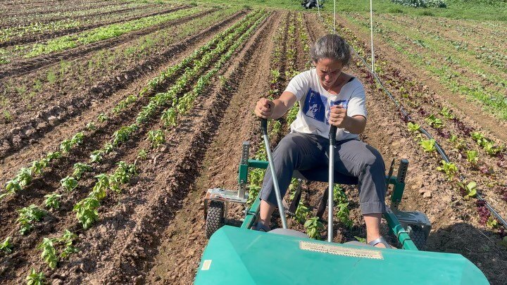 Here&rsquo;s an @earthskytime late summer fun slideshow: Bonnie plays the live action veggie weeding machine. @billywylder returns this Sunday 9/4 for their 7th annual @moonshinemusicseries farm gig. A new old bus moves onto the farm. Elijah rocks th