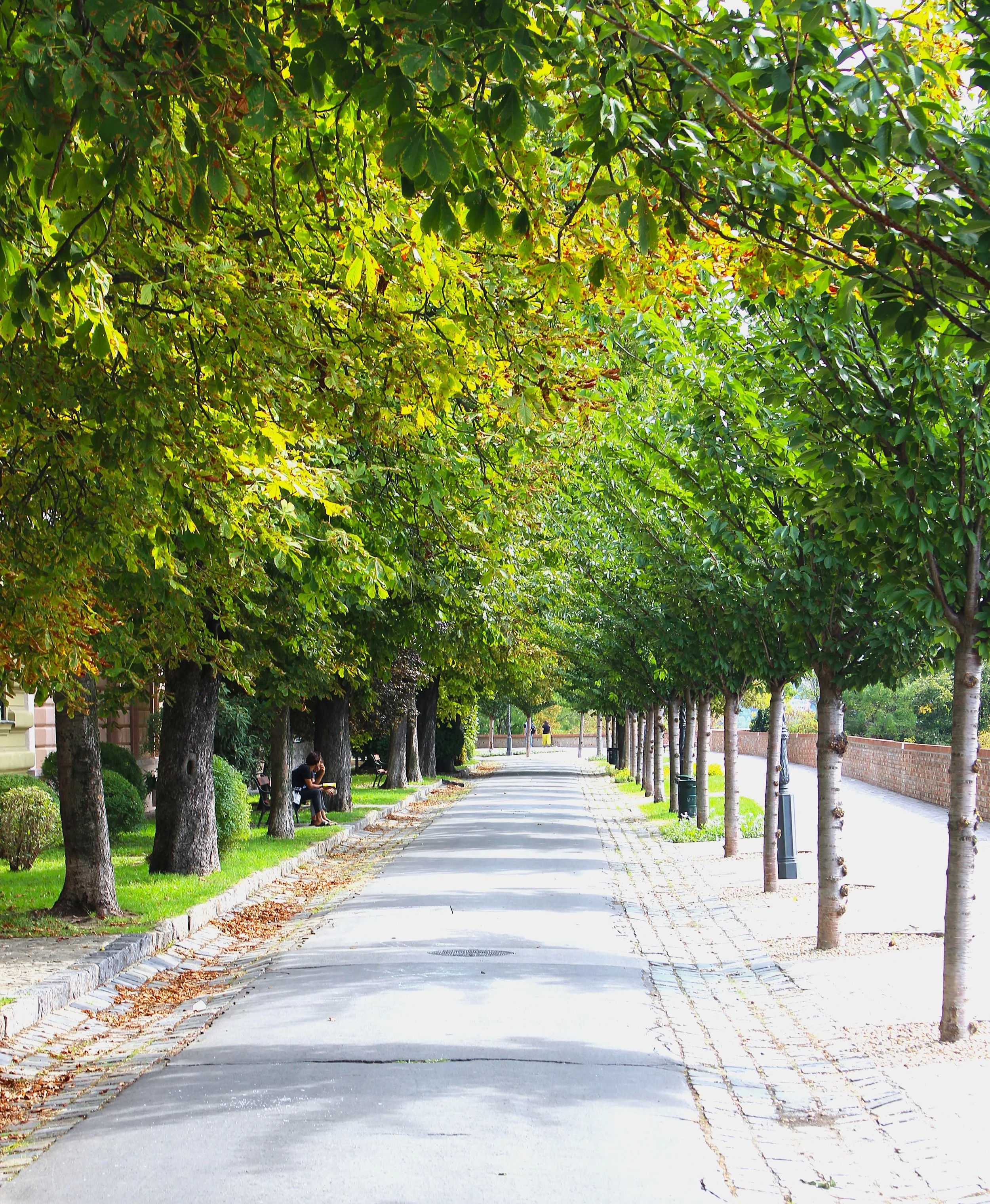 The Calm Through Storms