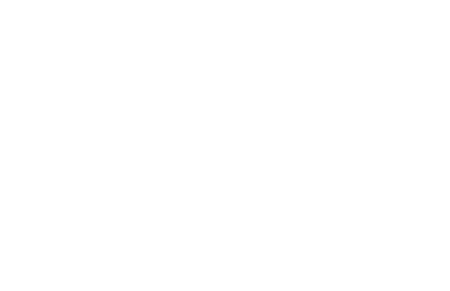 Plant Based Dallas