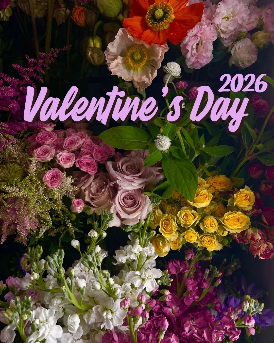 Valentine’s Day!.jpg