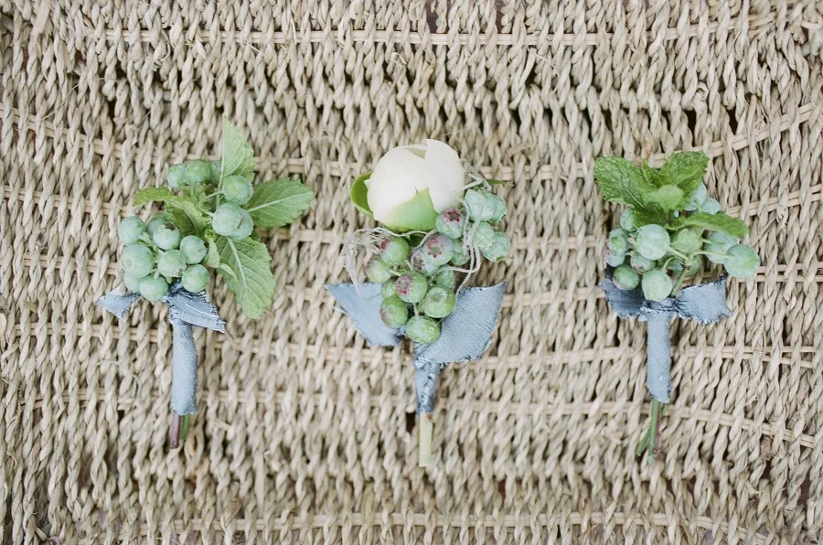 BlueberryFilm-28.jpg