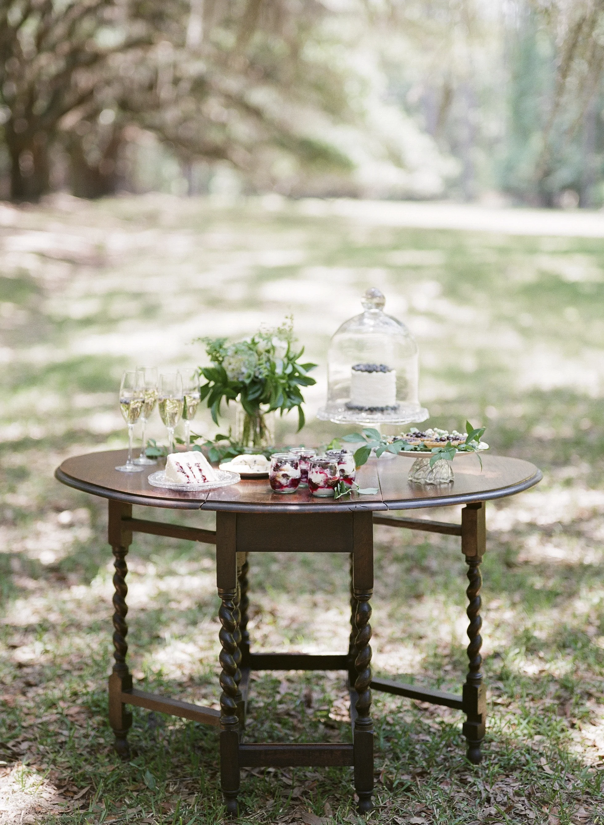 BlueberryFilm-159.jpg