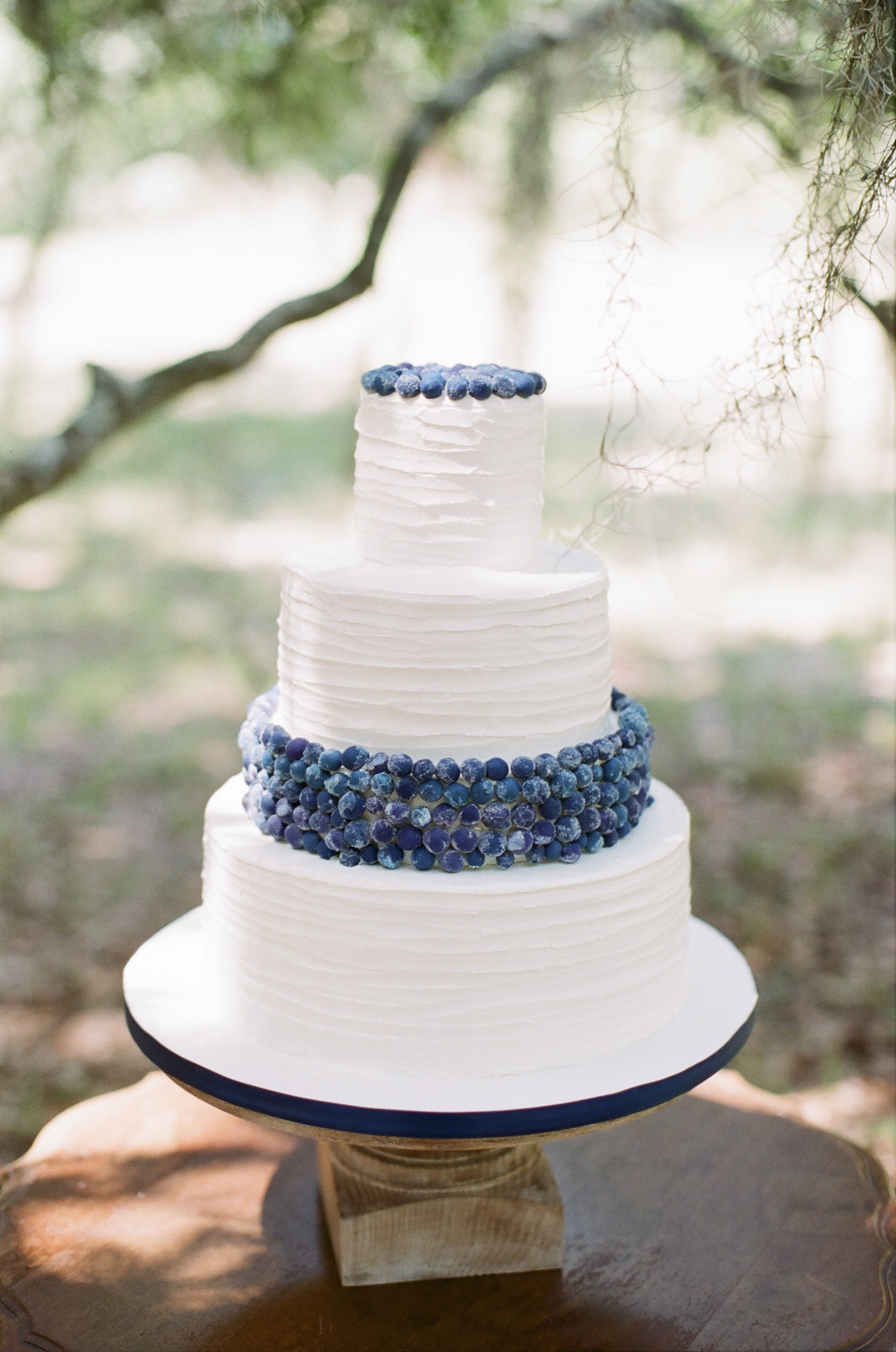 BlueberryFilm-93.jpg