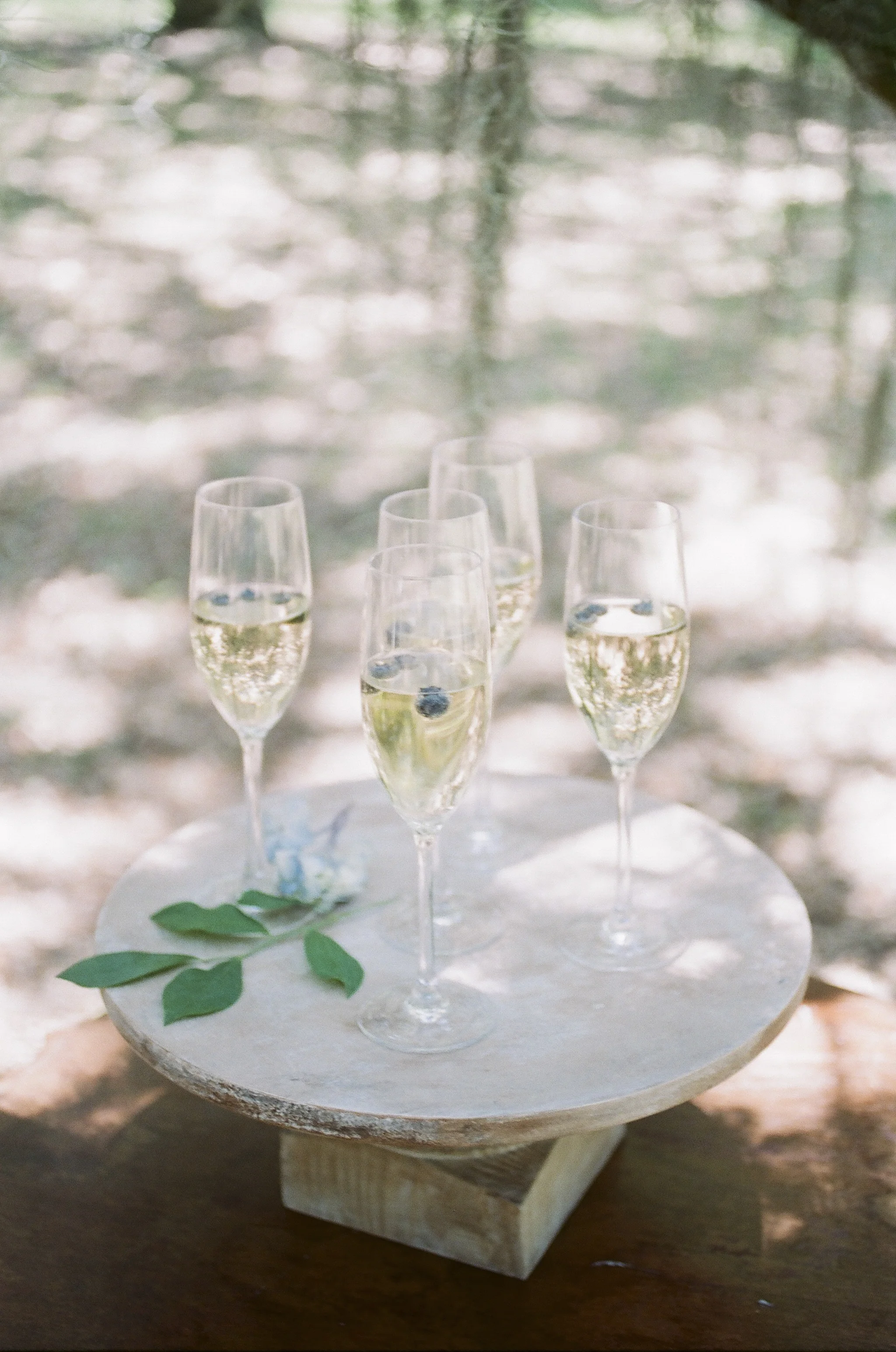 BlueberryFilm-92.jpg