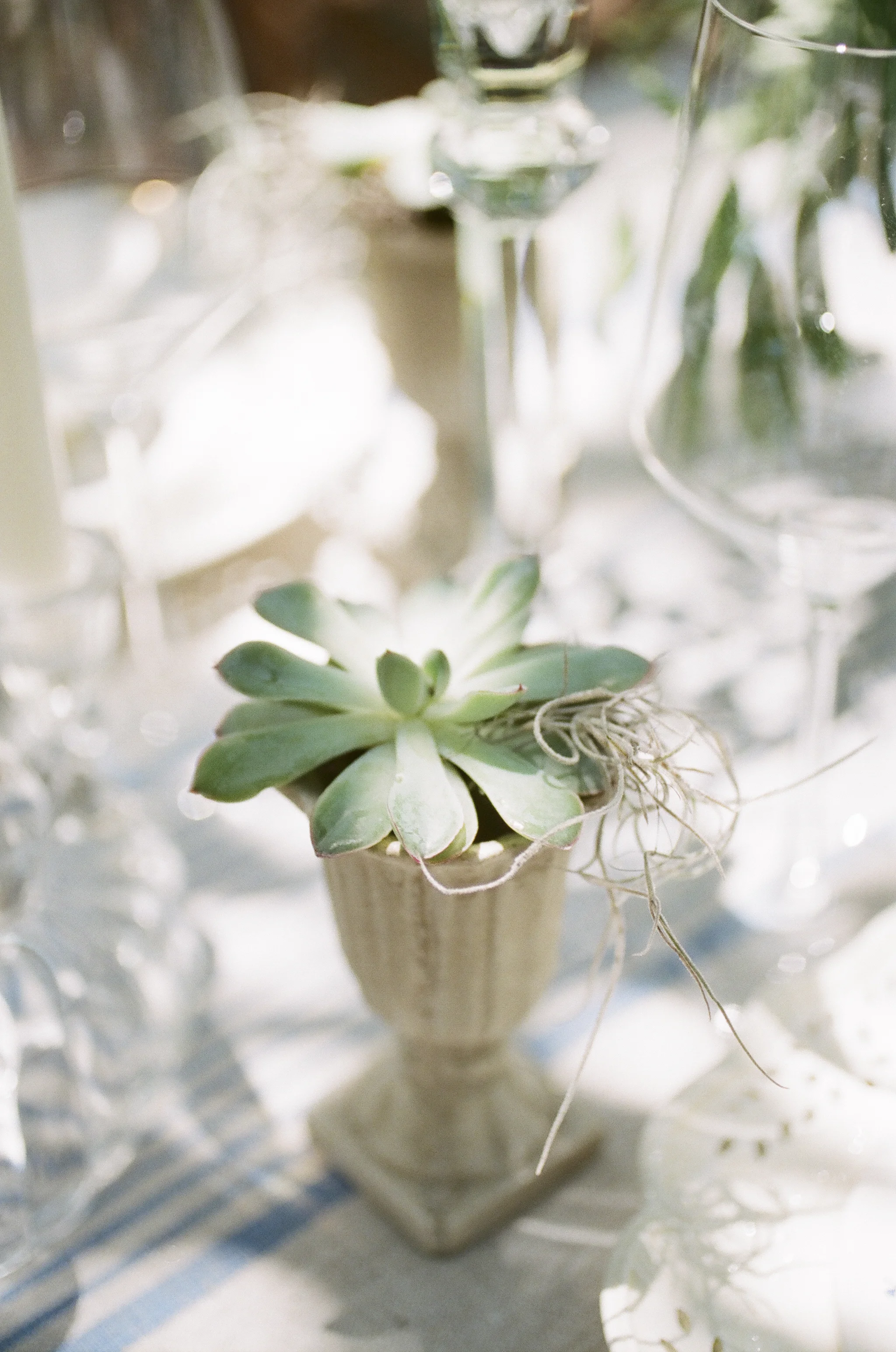 BlueberryFilm-54.jpg