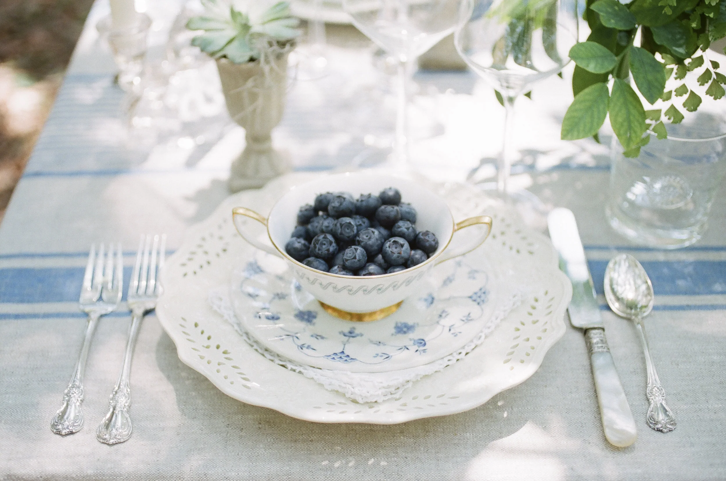BlueberryFilm-37.jpg