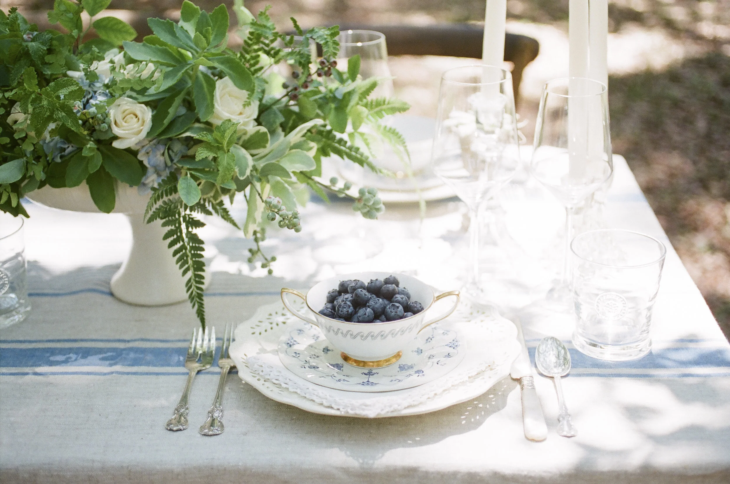 BlueberryFilm-34.jpg