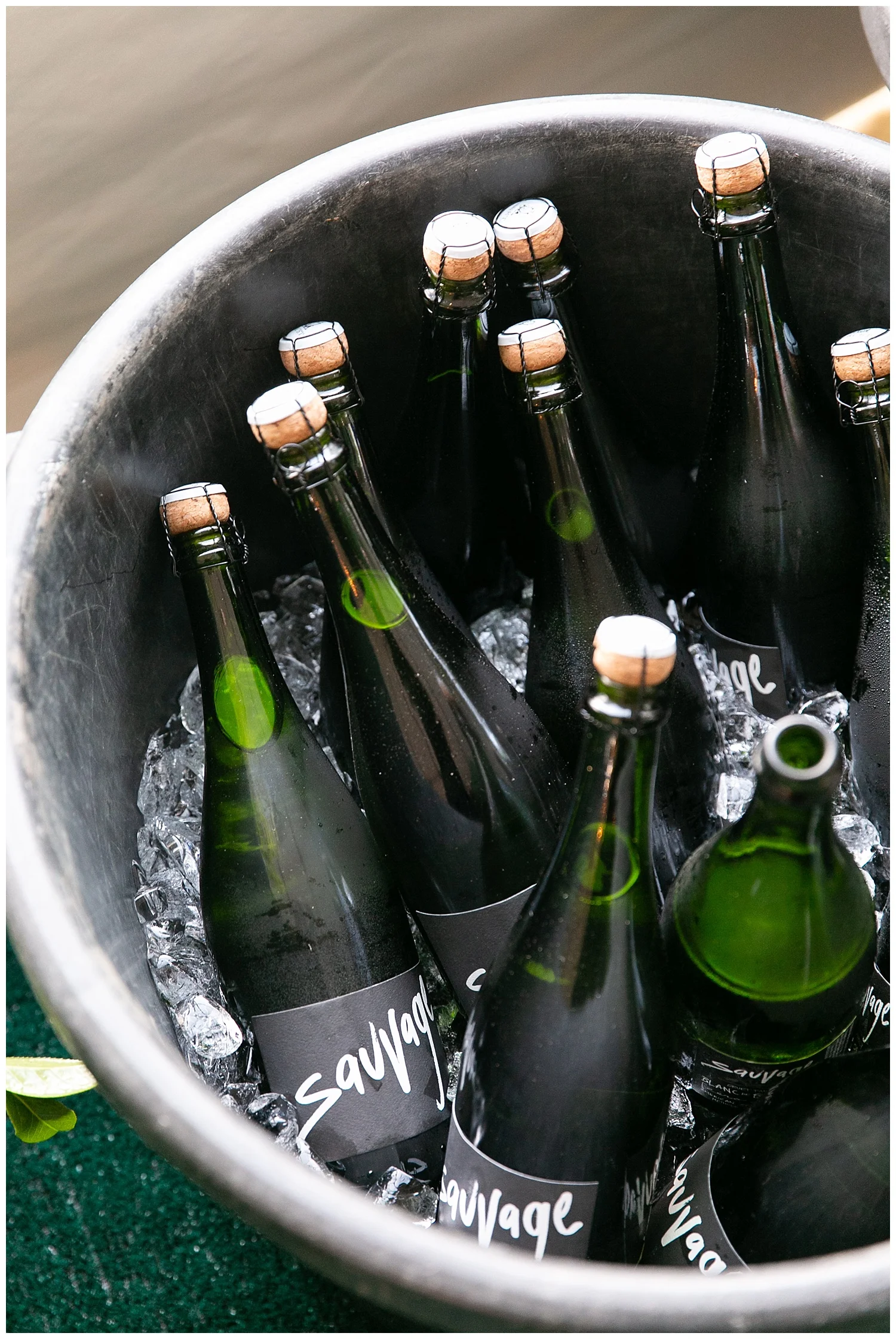 2019-09-02_0024 copy.jpg