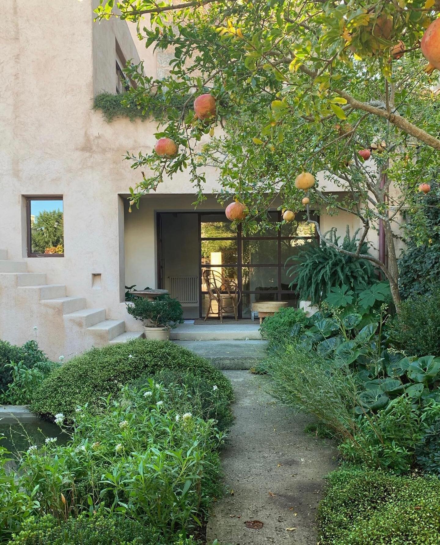 garden path at Potters House Mallorca / Son Servera
.
.
.
.
.
.
.
.
#pottershouse #pottershousemallorca #mallorca #sonservera #balearicislands  #garden #landscape #architecture #kellybehunstudio @pottershousemallorca