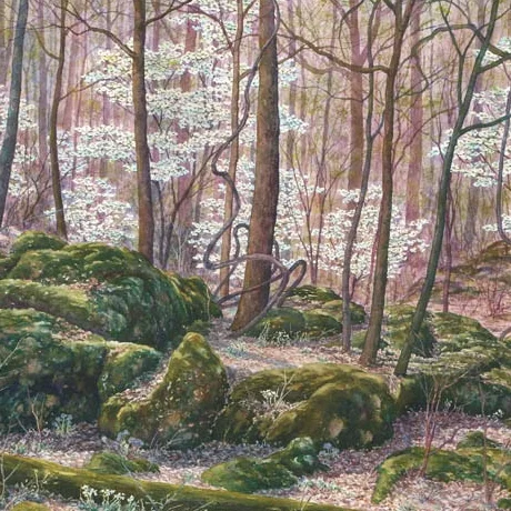 OzarkSpring2.jpg