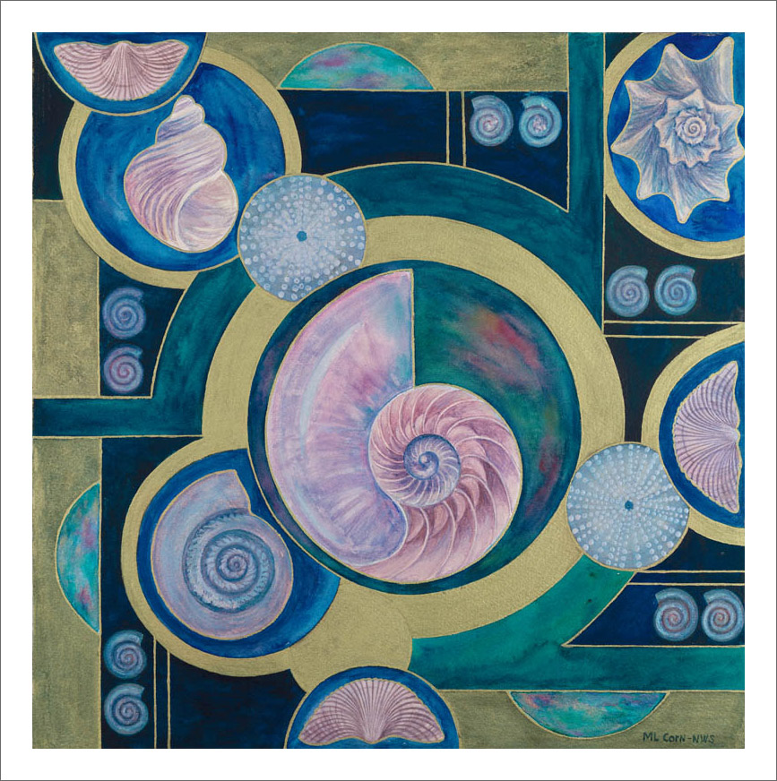 Nautilus Shell Mary Lou Corn Nautilus Shell Mary Lou Corn