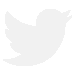 MovieNightcapSocialIcons-twitter copy.png